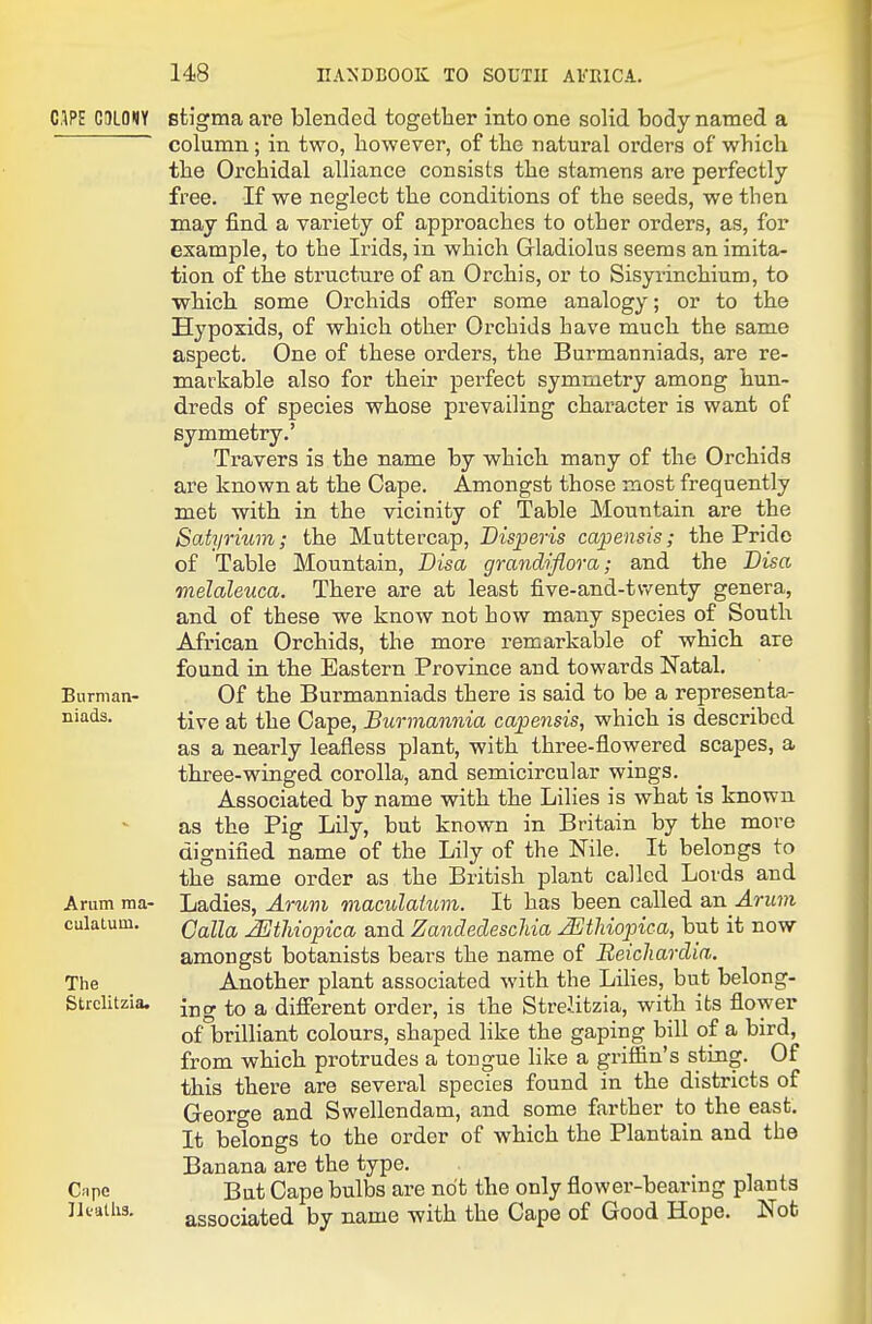 C.IPE C!)L0«IY stigma are blended togetber into one solid body named a column; in two, bowever, of tbe natural orders of wbicb tbe Orcbidal alliance consists tbe stamens are perfectly free. If we neglect tbe conditions of tbe seeds, we then may find a variety of approacbes to otber orders, as, for example, to tbe Irids, in wbicb Gladiolus seems an imita- tion of tbe structure of an Orcbis, or to Sisyrincbium, to wbicb some Orcbids offer some analogy; or to tbe Hypoxids, of wbicb otber Orcbids bave mucb tbe same aspect. One of tbese orders, tbe Burmanniads, are re- markable also for tbeir perfect symmetry among hun- dreds of species wbose prevailing character is want of symmetry.' Travers is tbe name by wbicb many of tbe Orcbids are known at tbe Cape. Amongst tbose most frequently met witb in tbe vicinity of Table Mountain are tbe Satyrium; tbe Muttercap, Disperis capensis; tbe Pride of Table Mountain, Disa grandiflora; and tbe Bisa melaleuca. Tbere are at least five-and-twenty genera, and of these we know not bow many species of South African Orchids, tbe more remarkable of which are found in the Eastern Province and towards Natal. Of tbe Burmanniads there is said to be a representa- tive at tbe Cape, Burmannia capensis, which is described as a nearly leafless plant, witb three-flowered scapes, a three-winged corolla, and semicircular wings. Associated by name with the Lilies is what is known as the Pig Lily, but known in Britain by tbe more dignified name of tbe Lily of tbe Nile. It belongs to the same order as tbe British plant called Lords and Ladies, Amm maculatum. It has been called &n Arum Calla ^thiopica and Zandecleschia ^tMop)ica, but it now amongst botanists bears tbe name of Beichardia. Another plant associated witb tbe Lilies, but belong- ing to a different order, is the Stre-litzia, witb its flower of brilliant colours, shaped like tbe gaping bill of a bird, from which protrudes a tongue like a griffin's sting. Of this there are several species found in the districts of Georo-e and Swellendam, and some farther to the east. It belongs to tbe order of wbicb tbe Plantain and tbe Banana are the type. But Cape bulbs are not the only flower-bearing plants associated by name witb tbe Cape of Good Hope. Not Burman- niads. Arum ma- culatum. The Strclitzia. Cnpe JJeaths.