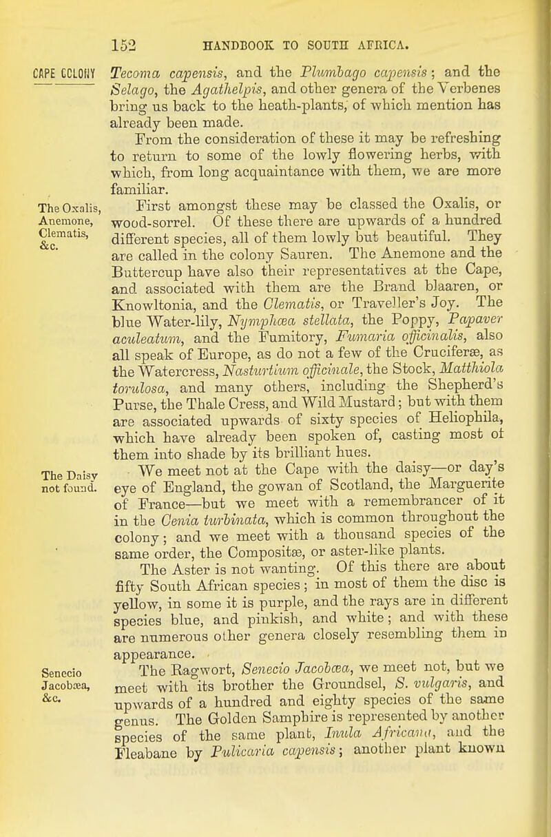 CAPE CCLOfJY TheOxalis, Anemone, Clematis, &c. The Daisy not found. Senecio Jacobasa, Tecoma capensis, and the Phmhago caiiensis; and the Selago, the Agathelpis, and other genera of the Verbenas bring us back to the heath-plants, of which mention has already been made. From the consideration of these it may be refreshing to return to some of the lowly flowering herbs, with which, from long acquaintance with them, we are more familiar. First amongst these may be classed the Oxalis, or wood-sorrel. Of these there are upwards of a hundred different species, all of them lowly but beautiful. They are called in the colony Sauren. The Anemone and the Buttercup have also their representatives at the Cape, and associated with them are the Brand blaaren, or Knowltonia, and the Clematis, or Traveller's Joy. The blue Water-lily, Nijviplima stellata, the Poppy, Tapaver aculeakcm, and the Fumitory, Fumaria officinalis, also all speak of Europe, as do not a few of the Cruciferse, as the Watercress, Nastiirtmm officinale, the Stock, MaWiiola torulosa, and many others, including the Shepherd's Purse, the Thale Cress, and Wild Mustard; but with them are associated upwards of sixty species of Heliophila, which have already been spoken of, casting most ot them into shade by its brilliant hues. We meet not at the Cape with the daisy—or day's eye of England, the gowan of Scotland, the Marguerite of France—but we meet with a remembrancer of it in the Genia turUnata, which is common throughout the colony; and we meet with a thousand species of the same order, the Compositge, or aster-like plants. The Aster is not wanting. Of this there are about fifty South African species; in most of them the disc is yellow, in some it is purple, and the rays are in different species blue, and pinkish, and white; and with these are numerous other genera closely resembling them in appearance. The Ragwort, Senecio JacohcBa, we meet not, but we meet with its brother the Groundsel, S. vulgaris, and upwards of a hundred and eighty species of the same genus. The Golden Samphire is represented by another species of the same plant. Inula Africana, and the Fleabane by Pulicaria capensis; another plant kuowu