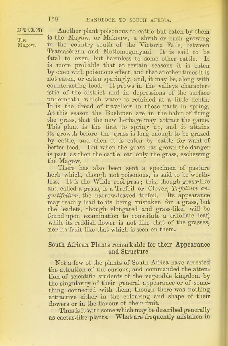 CAPE COLONY Another plant poisonous to cattle but eaten by them rpi^^j is the Magow, or Makouw, a shrub or bush growing Magow. in the country south of the Victoria Falls, between Tsamasetchu and Motlomoganyani. It is said to be fatal to oxen, but harmless to some other cattle. It is more probable that at certain seasons it is eaten by oxen with poisonous effect, and that at other times it is not eaten, or eaten sparingly, and, it may be, along with counteracting food. It grows in the valleys character- istic of the district and in depressions of the surface underneath which water is retained at a little depth. It is the dread of travellers in those parts in spring. At this season the Bushmen are in the habit of firing the grass, that the new herbage may attract the game. This plant is the first to spring up, and it attains its growth before the grass is long enough to be grazed by cattle, and then it is eaten by cattle for want of better food. But when the grass has grown the danger is past, as then the cattle eat only the grass, eschewing the Magow. There has also been sent a specimen of pasture herb which, though not poisonous, is said to be worth- less. It is the Wilde rooi gras ; this, though grass-hke and called a grass, is a Trefoil or Clover, TrifoUum an- gustifolmm, the narrow-leaved trefoil. Its appearance may readily lead to its being mistaken for a grass, but the leaflets, though elongated and grass-like, will be found upon examination to constitute a trifohate leaf, while its reddish flower is not like that of the grasses, nor its fruit like that which is seen on them. South African Plants remarkable for their Appearance and Structure. Not a few of the plants of South Africa have arrested the attention of the curious, and commanded the atten- tion of scientific students of the vegetable kingdom by the singularity of their general appearance or of some- thing connected with them, though there was nothing attractive either in the colouring and shape of their flowers or in the flavour of their fruit. Thus is it with some which may be described generally as cactus-like plants. What are frequently mistaken in