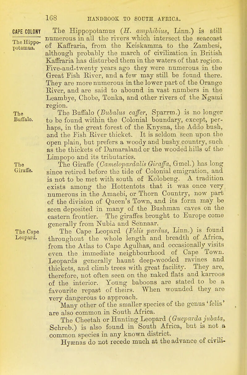 The HippO' potamua. CAPE COLONY The Hippopotamus (H. ampMlius, Linn.) is still numerous in all the rivers which, intersect the seacoast of Kaflfraria, from tlie Keiskamma to the Zambesi, although probably tlie march, of civilization in Britisli Kaffraria has disturbed them in th.e waters of that region. Five-and-twenty years ago they were numerous in the Great Fish River, and a few may still be found there. They are more numerous in the lower part of the Orange River, and are said to abound in vast numbers in the Leambye, Chobe, Tonka, and other rivers of the Ngami The Buffalo. The Giraffe. The Cape Leopard. — o— The Buffalo (Bubalus caffer, Sparrm.) is no longer to be found within the Colonial boundary, except, per- haps, in the great forest of the Knysna, the Addo bush, and the Fish River thicket. It is seldom seen upon the open plain, but prefers a woody and bushy country, such as the thickets of Damaralandor the wooded hills of the Limpopo and its tributaries. The Giraffe (Gamelopardalis Gimffa, Gmel.) has long since retired before the tide of Colonial emigration, and is not to be met with south of Kolobeug. A tradition exists among the Hottentots that it was once very numerous in the Amaebi, or Thorn Country, now part of the division of Queen's Town, and its form may be seen deposited in many of the Bushman caves on the eastern frontier. The giraffes brought to Europe come generally from Nubia, and Sennaar. The Cape Leopard (Felis pardus, Linn.) is found throughout the whole length and breadth of Africa, from the Atlas to Cape Agulhas, and occasionally visits even the immediate neighbourhood of Cape Town. Leopards generally haunt deep-wooded ravines and. thickets, and climb trees with great facility. They are, therefore, not often seen on the naked flats and kaiTOOs of the Ulterior. Young baboons are stated to be a favourite repast of theirs. When wounded they are very dangerous to approach. Many other of the smaller species of the genus 'felis' are also common in South Africa. The Cheetah or Hunting Leopard (Guejmrda jubata, Schreb.) is also found in South Africa, but is not a common species in any known district. HyfBnas do not recede much at the advance of civili-