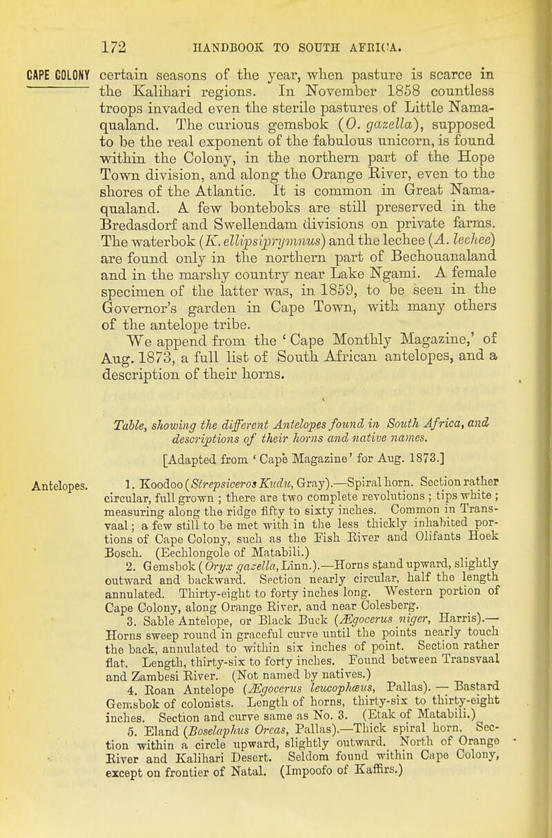 CAPE COLONY certain seasons of tlie year, when pasture is scarce in ' the Kalihari regions. In November 1858 countless troops invaded even the sterile pastures of Little Nama- qualand. The curious gemsbok (0. gazella), supposed to be the real exponent of the fabulous unicorn, is found within the Colony, in the northern part of the Hope Town division, and along the Orange River, even to the shores of the Atlantic. It is common in Great Nama- qualand. L few bonteboks are still preserved in the Bredasdorf and Swellendam divisions on private farms. The waterbok (K. elUpsiprymnus) and the lechee {A. lechee) are found only in the northern part of Bechouanaland and in the marshy country near Lake Ngami. A. female specimen of the latter was, in 1859, to be seen in the Governor's garden in Cape Town, with many others of the antelope tribe. We append from the ' Cape Monthly Magazine,' of Aug. 1873, a full list of South African antelopes, and a description of their horns. Table, showing the different Antelopes found in South Africa, and descriptions of their horns and native names. [Adapted from ' Cape Magazine' for Aug. 1873.] Antelopes. 1. 'KQoAQQ{Strepsiceros Kudu, Gray).—Spiral horn. Section rather circular, full grown ; there are two complete revolutions ; tips white ; measuring along the ridge fifty to sixty inches. Common in Trans- vaal; a few still to be met with in the less thickly inhabited por- tions of Cape Colony, such as the Fish Eiver and Olifants Hoek Bosch. (Eechlongole of Matabili.) 2. G emsbok ( Oryx gazella, Linn.).—Horns stand upward, slightly outward and backward. Section nearly circular, half the length annulated. Thirty-eight to forty inches long. AVestern portion of Cape Colony, along Grange River, and near Colesberg. 3. Sable Antelope, or Black Buck {Mgocerus niger, Harris).— Horns sweep round in graceful curve until the points nearly touch the back, annulated to within six inches of point. Section rather flat. Length, thirty-six to forty inches. Found between Transvaal and Zambesi Kiver. (Not named by natives.) 4. Roan Antelope (Mgocerus leucophmus, Pallas). — Bastard Gemsbok of colonists. Length of horns, thirty-six to thirty-eight inches. Section and curve same as No. 3. (Etak of Matabili.) 5. 'Ei&ndi {Boselaphus Orcas, Pallas).—Thick spiral horn. Sec- tion within a circle upward, slightly outward. North of Orange Eiver and Kalihari Desert. Seldom found within Cape Colony, except on frontier of Natal. (Impoofo of Kaffirs.)