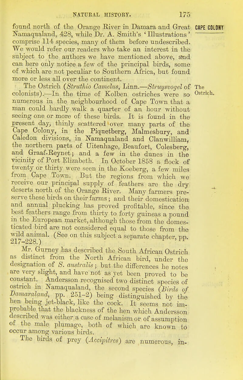 found north of tlae Orange Eiver in Damara and Great CAPE COLONY Namaqnaland, 428, while Dr. A. Smith's ' Illustrations ' comprise 114 species, many of them before undescribed. We would refer our readers who take an interest in the subject to the authors we have mentioned above, a^nd can here only notice a few of the principal birds, some of which are not peculiar to Southern Africa, but found more or less all over the continent. ' The Ostrich (Struthio Gamelus, Linn.—Sti'uysvogel of The colonists).—In the time of Kolben ostriches were so Ostriclu numerous in the neighbourhood of Cape Town that a man could hardly walk a quarter of an hour without seeing one or more of these birds. It is found in the present day, thinly sca.ttered over many parts of the Cape Colony, in the Piquetberg, Malmesbury, and Caledon divisions, in Namaqualand and Clanwilliam, the northern parts of TJitenhage, Beaufort, Colesberg, and Graaf-Reynet; and a few in the dunes in the vicinity of Port Elizabeth. In October 1858 a flock of twenty or thirty were seen in the Koeberg, a few miles from Cape Town. But the regions from which we receive our principal supply of feathers are the dry deserts north of the Orange River. Many farmers pre- ~* serve these birds on their farms; and their domestication and annual plucking has proved profitable, since the best feathers range from thirty to forty guineas a pound in the European market, although those from the domes- ticated bird are not considered equal to those from the wild animal. (See on this subject a separate chapter, pp. 217~228.) Mr. Gurney has described the South African Ostrich as distinct from the North African bird, under the designation of S. australis; but the differences he notes are very slight, and have not as yet been proved to be constant. Andersson recognised two distinct species of ostrich m Namaqualand, the second species (Birds of Bmiaraland, pp. 251-2) being distinguished by the hen being jet-black, like the cock. It seems not im- probable that the blackness of the hen which Andersson described was either a case of melanism or of assumption ot the male plumage, both of which are known to occur among various birds. The birds of prey (Accipitres) are numerous, in-