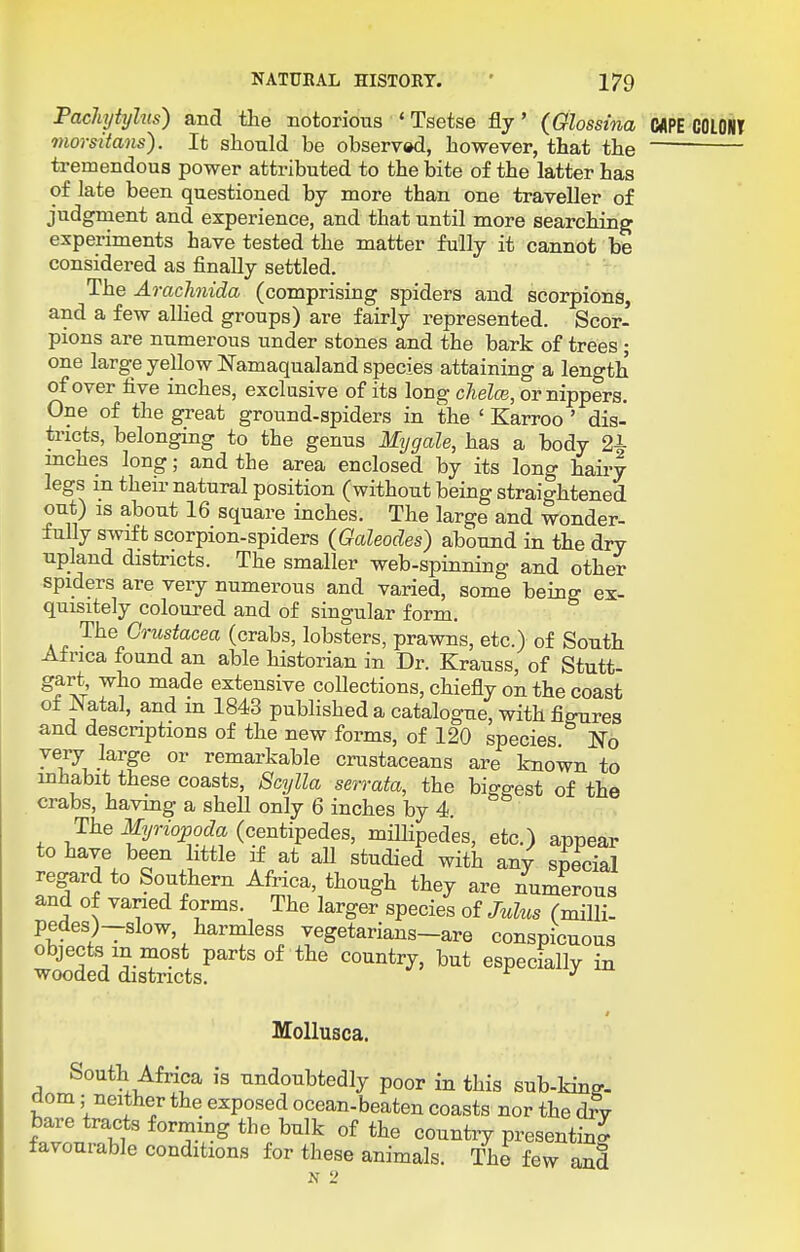 PacJiytyhts) and the notorious ' Tsetse fly' (Glossina MPE COLON! inorsitans). It should be observod, however, that the tremendous power attributed to the bite of the latter has of late been questioned by more than one traveller of judgment and experience, and that until more searching experiments have tested the matter fully it cannot be considered as finally settled. ■ t- The AracJmida (comprising spiders and scorpions, and a few alhed groups) are fairly represented. Scor- pions are numerous under stones and the bark of trees ; one large yellow Namaqualand species attaining a length of over five inches, exclusive of its long chelce, or nippers. One of the great ground-spiders in the ' Karroo ' dis- tricts, belonging to the genus Mygale, has a body 2-1- inches long; and the area enclosed by its long hairy legs m their natural position (without being straightened out) IS about 16 square inches. The large and wonder- fully swift scorpion-spiders (Oaleodes) abound in the dry upland districts. The smaller web-spinning and other spiders are very numerous and varied, some being ex- quisitely coloured and of singular form. The Crustacea (crabs, lobsters, prawns, etc.) of South Africa found an able historian in Dr. Krauss, of Stutt- gart, who made extensive collections, chiefly on the coast of i\atal, and m 1843 published a catalogue, with fi^ires and descnptions of the new forms, of 120 species m very large or remarkable crustaceans are known to inhabit these coasts, Scylla serrata, the biggest of the crabs, having a shell only 6 inches by 4. The Myriopoda (centipedes, miUipedes, etc.) appear to have been little if at aU studied with anv special regard to Southern Africa, though they are numerous and of varied forms. The larger species of Mus (miUi- pedes)-slow, harmless vegetarians-are conspicuous objects in most parts of the country, but especially in MoUusca. South Africa is undoubtedly poor in this sub-kin^- dom; neither the exposed ocean-beaten coasts nor the dry bare tracts forming the bulk of the country presenting favourable conditions for these animals. The few and