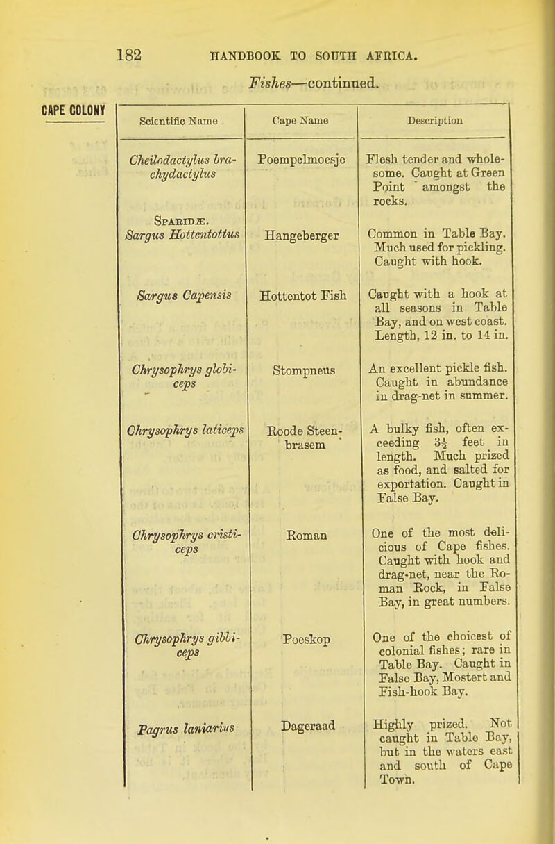 Fishes—contintied. CAPE COLONY Scientific Name Cheilndactylus hm- chydactylus SPABlDiE. Sargus Hottentotitis Sargua Ca'pensis Chrysophrys glohi- ceps Chrysophrys laiiceps Chrysophrys crhti- ceps Cape Name Poempelmoesje Hangeberger Hottentot Fish Stompnetis Eoode SteeB- brasem Eoman Chrysophrys gihhi- cejps Pagrus laniarius Poestop Dageraad Description Flesh tender and •whole- some. Caught at Green Point amongst the rocks. Common in Table Bay. Much used for pickling. Caught -with hook. Caught with a hook at all seasons in Table Bay, and on west coast. Length, 12 in. to 14 in. An excellent pickle fish. Caught in abundance in drag-net in summer. A bulky fish, often ex- ceeding 34 feet in length. Much prized as food, and salted for exportation. Caught in False Bay. One of the most deli- cious of Cape fishes. Caught with hook and drag-net, near the Eo- man Eock, in False Bay, in great numbers. One of the choicest of colonial fishes; rare in Table Bay. Caught in False Bay, Mostert and Fish-hook Bay. Highly prized. Not caught in Table Bay, but in the waters east and south of Cape Town.