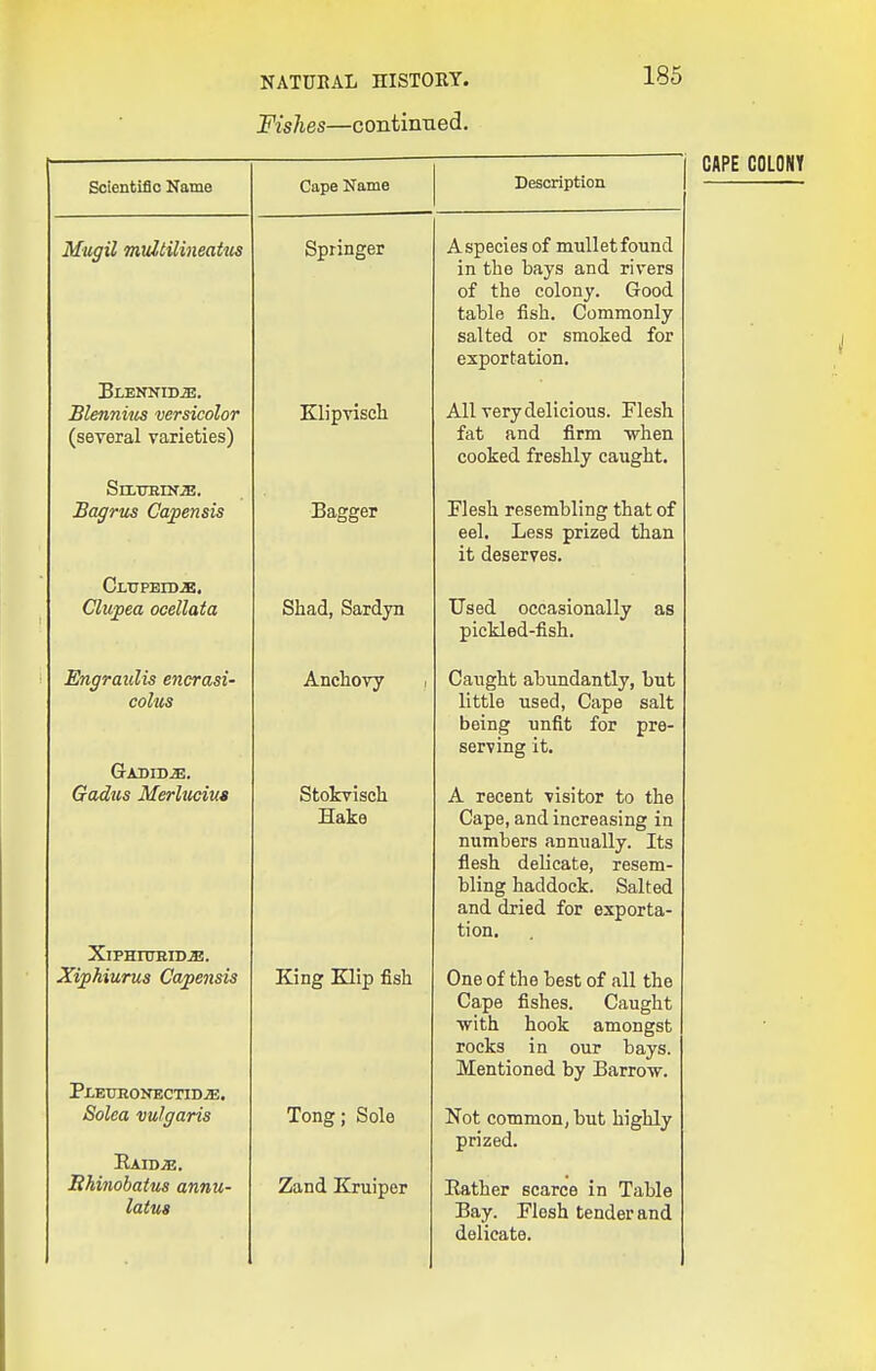 Fishes—contimied. 185 Scientific Name Mugil multUineatics Blennuis versicolor (several varieties) Bagrus Capensis Clupeid^, Clupea ocellata Engraulis encrasi- colus GrKDTDM. Gadus Merluciua XiPHniHIDjE. Xiphiurus Capensis PiEURONECTIDJE. Solea vulgaris Eaid;e. Hhinobatus annu- latus Cape Name Springer Klipvisch Bagger Shad, Sardyn Anchovy Stokvisoh Hake King Klip fish Tong; Sole Zand Kruiper Description A species of mullet found in the bays and rivers of the colony. Good table fish. Commonly salted or smoked for exportation. All very delicious. Flesh fat and firm when cooked freshly caught. Flesh resembling that of eel. Less prized than it deserves. Used occasionally pickled-fish. as Caught abundantly, but little used, Cape salt being unfit for pre- serving it. A recent visitor to the Cape, and increasing in numbers annually. Its flesh delicate, resem- bling haddock. Salted and dried for exporta- tion. One of the best of all the Cape fishes. Caught ■with hook amongst rocks in our bays. Mentioned by Barrow. Not common, but highly prized. Eather scarce in Table Bay. Flesh tender and delicate. CAPE COLONY