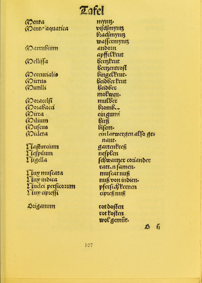 COcnta OOvcnia (Otmlii (Oitta (Oilinni ijefptlitm iXu^ inbtc« HiKlct pctfico:um nuiv>cip:c|ft Eifern* mufc<;tmt^ pfctfii^tcnicii ]07