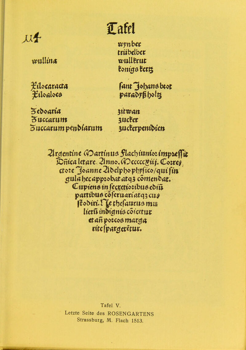 Cafd xvynbct ttiibelbct wullhut &ntC4 Utatt, 3nno,(Occcccgti;. Cottci^ ^ulabcc<?pf>t^bat4tq5 corttcnl^ar» Cuptend m fccwotibmcbiit patttbud corcrUarmtqu'U^ Pobtri. rte thcfamm mm Tafel V. Letzte Seite des ROSENGARTENS Strassburg, M. Flach 1513.