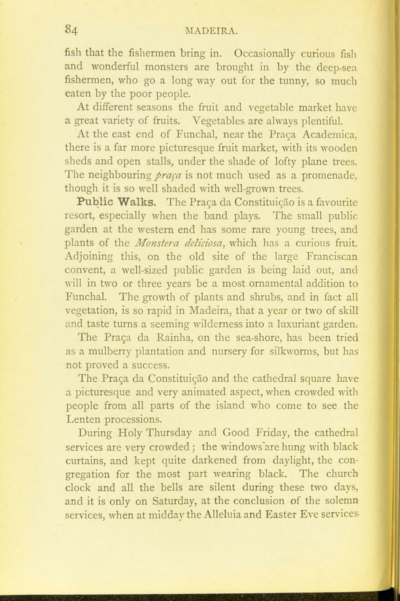 fish that the fishennen bring in. Occasionally curious fisli and wonderful monsters are brought in by the deep-sea fishermen, who go a long way out for the tunny, so much eaten by the poor people. At different seasons the fruit and vegetable market have a great variety of fruits. Vegetables are always plentiful. At the east end of Funchal, Jiear the Pra^a Academica, there is a far more picturesque fruit market, with its wooden sheds and open stalls, under the shade of lofty plane trees. The neighbouring prafa is not much used as a promenade, though it is so well shaded with well-grown trees. Public Walks. The Praga da Constitui^ao is a favourite resort, especially when the band plays. The small public garden at the western end has some rare young trees, and plants of the Monstera ddiciosa, which has a curious fruit. Adjoining this, on the old site of the large Franciscan convent, a well-sized public garden is being laid out, and will in two or three years be a most ornamental addition to Funchal. The growth of plants and shrubs, and in fact all vegetation, is so rapid in Madeira, that a year or two of skill and taste turns a seeming wilderness into a luxuriant garden. The Praga da Rainha, on the sea-shore, has been tried as a mulberry plantation and nursery for silkworms, but has not proved a success. The Praga da Constituigao and the cathedral square have a picturesque and very animated aspect, when crowded with people from all parts of the island who come to see the Lenten processions. During Holy Thursday and Good Friday, the cathedral sen'ices are very crowded; the windows are hung with black curtains, and kept quite darkened from daylight, the con- gregation for the most part wearing black. The church clock and all the bells are silent during these two days, and it is only on Saturday, at the conclusion of the solemn services, when at midday the Alleluia and Easter Eve services-