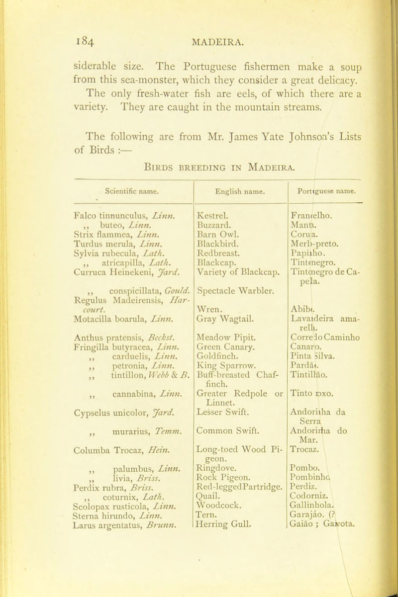siderable size. The Portuguese fishermen make a soup from this sea-monster, which they consider a great delicacy. The only fresh-water fish are eels, of which there are a variety. They are caught in the mountain streams. The following are from Mr. James Yate Johnson's Lists of Birds :— Birds breeding in Madeira. Scientific name. English name. Portiguese name. Kestrel. Fran<eIho. k J Via Manti Mil U^* T^n I'll Owl Com a. RHrkhiid ]VIerlL>-preto, Papiilio. I'll T p L' pmi X illLvll^LlivJ, Variety of Bla.ckcap. Tintcnegro de Ca- pela. Wren, Abib(. Ornv Wflfrtflil Lavaideira ama- relli. OnrrpHo (~!n m inlin Green Canary. Canaro. Goldfinch. Pinta Mlva. King Sparrow. Pardat. Buff-breasted Chaf- TintiMo. finch. Greater Redpole or Tinto Dxo. Linnet. Lesser Swift. Andoriiha da Serra Common Swift. Andoriiha do Mar. Long-toed Wood Pi- Trocaz. geon. Ringdove. Pombo. Rock Pigeon. Pombinha Red -legged Partridge. Perdiz. Quail. Codorniz. Woodcock. Gallinhola. Tern. Garajao. {? Herring Gull. Gaiao j Gaivota. Faico tinnunculus, Linn. ,, buleo, Linn. Strix flammea, Linn. Turdus morula, Linn. Sylvia nibecula, Lath. ,, atricapilla, Lath. Curruca Heinekeni, yard. ,, conspicillata, Gould. Regulus Madeirensis, Liar- court. Motacilla boarula, Linn, Anthus pratensis, Beckst. Fringilla butyracea, Linn. ,, carduelis, Linn. ,, petronia, Linn. „ tintillon, & 5. ,, cannabina, Linn. Cypselus unicolor, yard. ,, murarius, Temm. Columba Trocaz, Hein. ,, palimibus, Linn. ,, livia, Briss. Perdix rubra, Briss. ,, coturnix. Lath. Scolopax rusticola, Linn. Sterna hirundo, Linn. Larus argentatus, Brunn. \ \
