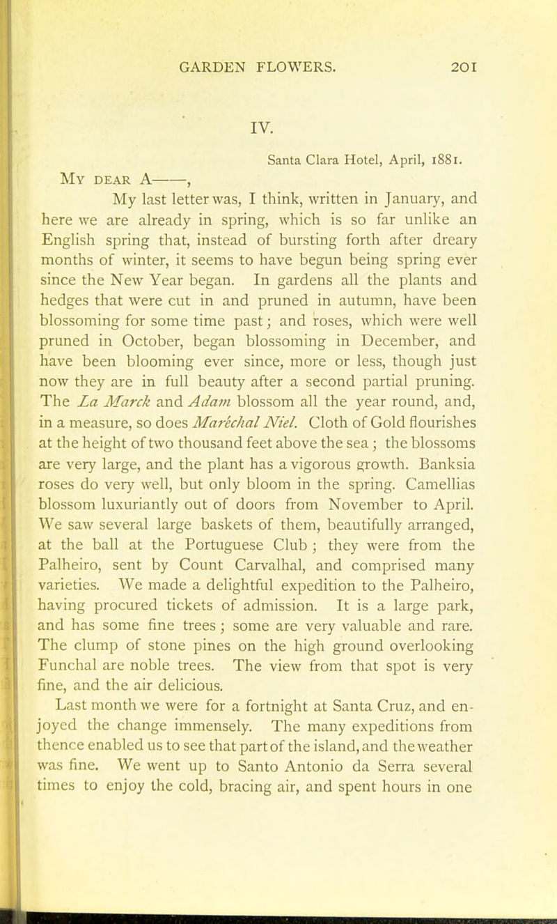 IV. Santa Clara Hotel, April, 1881. Mv DEAR A , My last letter was, I think, written in January, and here we are already in spring, which is so far unlike an English spring that, instead of bursting forth after dreary months of winter, it seems to have begun being spring ever since the New Year began. In gardens all the plants and hedges that were cut in and pruned in autumn, have been blossoming for some time past; and roses, which were well pruned in October, began blossoming in December, and have been blooming ever since, more or less, though just now they are in full beauty after a second partial pruning. The La Marck and Adam blossom all the year round, and, in a measure, so does Marechal Niel. Cloth of Gold flourishes at the height of two thousand feet above the sea; the blossoms are very large, and the plant has a vigorous growth. Banksia roses do very well, but only bloom in the spring. Camellias blossom luxuriantly out of doors from November to April. We saw several large baskets of them, beautifully arranged, at the ball at the Portuguese Club ; they were from the Palheiro, sent by Count Carvalhal, and comprised many varieties. We made a delightful expedition to the Palheiro, having procured tickets of admission. It is a large park, and has some fine trees; some are very valuable and rare. The clump of stone pines on the high ground overlooking Funchal are noble trees. The view from that spot is very fine, and the air delicious. Last month we were for a fortnight at Santa Cruz, and en- joyed the change immensely. The many expeditions from thence enabled us to see that part of the island, and the weather was fine. We went up to Santo Antonio da Serra several times to enjoy the cold, bracing air, and spent hours in one