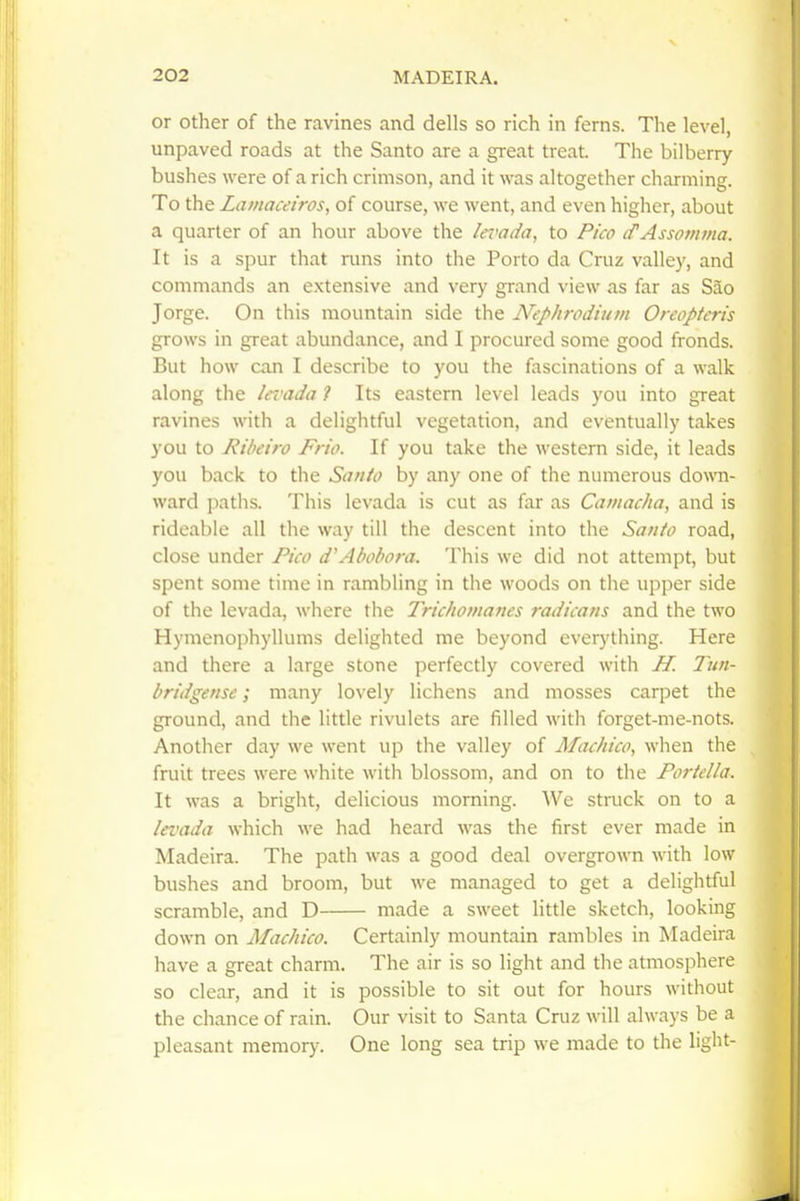 or Other of the ravines and dells so rich in ferns. The level, unpaved roads at the Santo are a great treat. The bilberry bushes were of a rich crimson, and it was altogether charming. To the Lamaceiros, of course, we went, and even higher, about a quarter of an hour above the le7'oda, to Pico tfAssomina. It is a spur that runs into the Porto da Cruz valley, and commands an extensive and very grand view as far as Sao Jorge. On this mountain side the Nephrodium Oreopteris grows in great abundance, and I procured some good fronds. But how can I describe to you the fascinations of a walk along the levada ? Its eastern level leads you into great ravines with a delightful vegetation, and eventually takes you to Ribeiro Frio. If you take the western side, it leads you back to the Santo by any one of the numerous do\\'n- ward paths. This levada is cut as far as Camacha, and is rideable all the way till the descent into the Santo road, close under Pico d'Ahobora. This we did not attempt, but spent some time in rambling in the woods on the upper side of the levada, where the Trichomanes radicans and the two Hymenophyllums delighted me beyond everytliing. Here and tliere a large stone perfectly covered with H. Tun- bridgensc; many lovely lichens and mosses carpet the ground, and the little rivulets are filled with forget-me-nots. Another day we went up the valley of Machico, when the fruit trees were white with blossom, and on to the Portclla. It was a bright, delicious morning. We struck on to a levada which we had heard was the first ever made in Madeira. The path was a good deal overgrown with low bushes and broom, but we managed to get a delightful scramble, and D made a sweet little sketch, looking down on Machico. Certainly mountain rambles in Madeira have a great charm. The air is so light and the atmosphere so clear, and it is possible to sit out for hours without the chance of rain. Our visit to Santa Cruz will always be a pleasant memory. One long sea trip we made to the light-