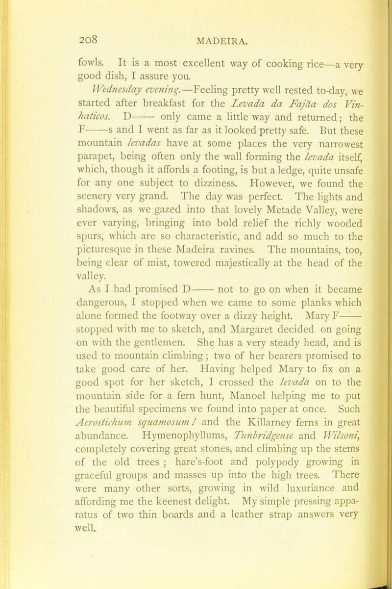 fowls. It is a most excellent way of cooking rice—a very good dish, I assure you. Wednesday evening.—Feeling pretty well rested to-day, we started after breakfast for the Leva da da Fajaa dos Vtn- haticos. D only came a little way and returned; the s and I went as far as it looked pretty safe. But these mountain levadas have at some places the very narrowest parapet, being often only the wall forming the levada itself, which, though it affords a footing, is but a ledge, quite unsafe for any one subject to dizziness. However, we found the scenery very grand. The day was perfect. The lights and shadows, as we gazed into that lovely Metade Valley, were ever varying, bringing into bold relief the richly wooded spurs, which are so characteristic, and add so much to the picturesque in these Madeira ravines. The mountains, too, being clear of mist, towered majestically at the head of the valley. As I had promised D not to go on when it became dangerous, I stopped when we came to some planks which alone formed the footway over a dizzy height. Mary F—'■— stopped with me to sketch, and Margaret decided on going on with the gentlemen. She has a very steady head, and is used to mountain climbing; two of her bearers promised to take good care of her. Having helped Mary to fix on a good spot for her sketch, I crossed the levada on to the mountain side for a fern hunt, Manoel helping me to put the beautiful specimens we found into paper at once. Such Acrostichuvi squamosum / and the Killarney ferns in great abundance. Hymenophyllums, Tunbridgcnse and Wilsotn, completely covering great stones, and climbing up the stems of the old trees ; hare's-foot and polypody growing in graceful groups and masses up into the high trees. There were many other sorts, growing in wild luxuriance and affording me the keenest delight. My simple pressing appa- ratus of two thin boards and a leather strap answers very well.