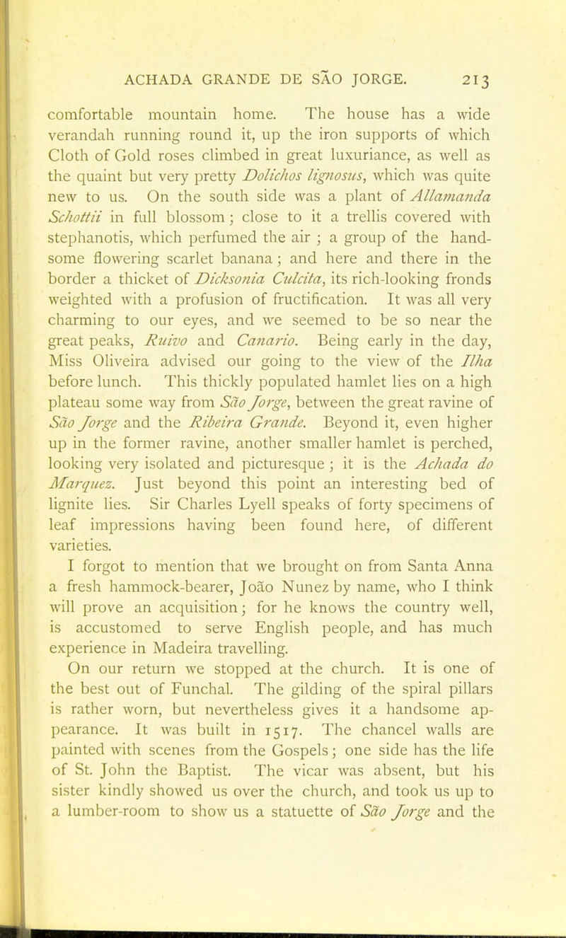 comfortable mountain home. The house has a wide verandah running round it, up the iron supports of which Cloth of Gold roses climbed in great luxuriance, as well as the quaint but very pretty Dolichos lignosus, which was quite new to us. On the south side was a plant oi Allamanda Schottii in full blossom; close to it a trellis covered with stephanotis, which perfumed the air ; a group of the hand- some flowering scarlet banana; and here and there in the border a thicket of Dicksonia Culcita, its rich-looking fronds weighted with a profusion of fructification. It was all very charming to our eyes, and we seemed to be so near the great peaks, Ruivo and Canario. Being early in the day, Miss Oliveira advised our going to the view of the Ilha before lunch. This thickly populated hamlet lies on a high plateau some way from Sao Jorge, between the great ravine of Sao Jorge and the Ribeira Grande. Beyond it, even higher up in the former ravine, another smaller hamlet is perched, looking very isolated and picturesque ; it is the Achada do Mai-quez. Just beyond this point an interesting bed of lignite lies. Sir Charles Lyell speaks of forty specimens of leaf impressions having been found here, of different varieties. I forgot to mention that we brought on from Santa Anna a fresh hammock-bearer, Joao Nunez by name, who I think will prove an acquisition; for he knows the country well, is accustomed to serve English people, and has much experience in Madeira travelling. On our return we stopped at the church. It is one of the best out of Funchal. The gilding of the spiral pillars is rather worn, but nevertheless gives it a handsome ap- pearance. It was built in 1517. The chancel walls are painted with scenes from the Gospels; one side has the life of St. John the Baptist. The vicar was absent, but his sister kindly showed us over the church, and took us up to a lumber-room to show us a statuette of Sao Jotge and the