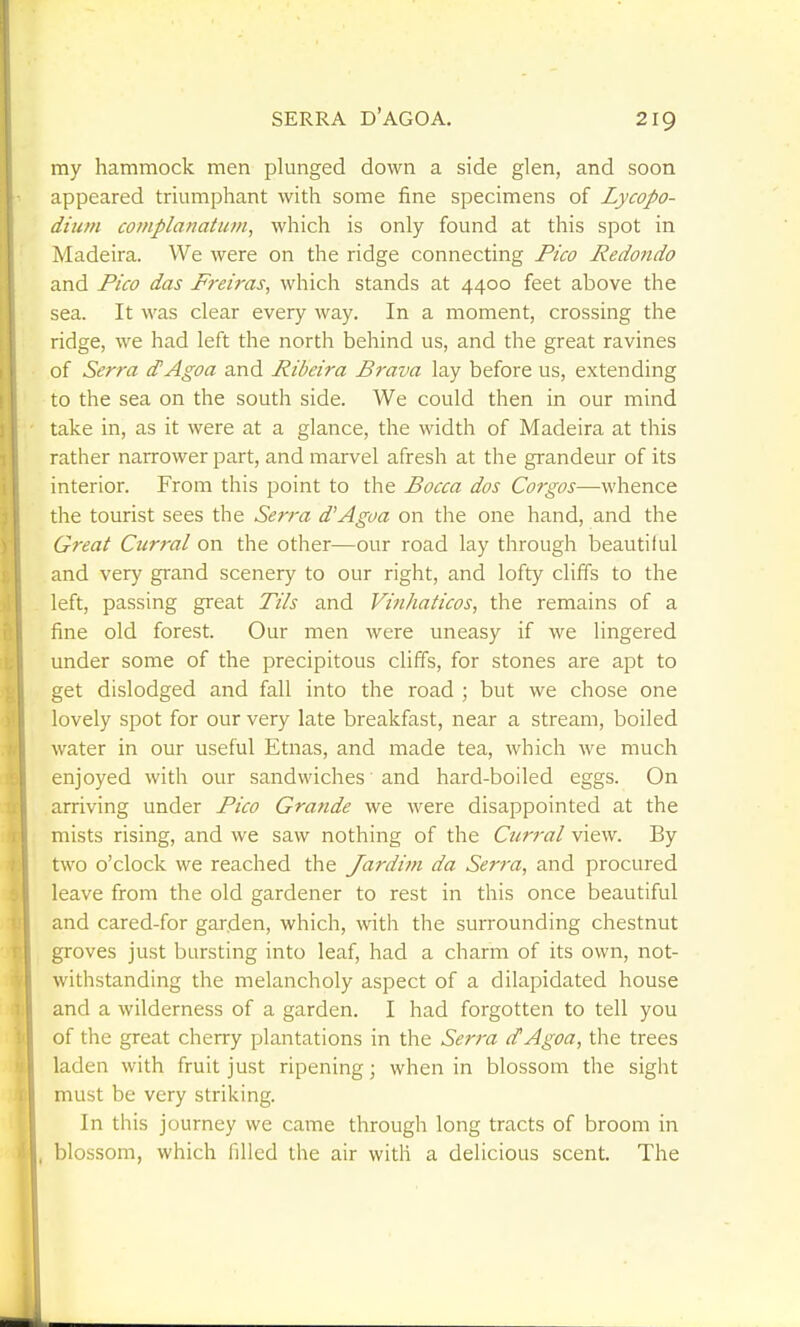 SERRA D'AGOA. my hammock men plunged down a side glen, and soon appeared triumphant with some fine specimens of Lycopo- dium complanatum, which is only found at this spot in Madeira. We were on the ridge connecting Pico Redondo and Pico das Preiras, which stands at 4400 feet above the sea. It was clear every way. In a moment, crossing the ridge, we had left the north behind us, and the great ravines of Serra d'Agoa and Ribeira Brava lay before us, extending to the sea on the south side. We could then in our mind take in, as it were at a glance, the width of Madeira at this rather narrower part, and marvel afresh at the grandeur of its interior. From this point to the Bocca dos Corgos—whence the tourist sees the Serra d'Agoa on the one hand, and the Great Ctirral on the other—our road lay through beautiful and very grand scenery to our right, and lofty cliffs to the left, passing great Tils and Vinhaticos, the remains of a fine old forest. Our men were uneasy if we lingered under some of the precipitous cliffs, for stones are apt to get dislodged and fall into the road ; but we chose one lovely spot for our very late breakfast, near a stream, boiled water in our useful Etnas, and made tea, which we much enjoyed with our sandwiches and hard-boiled eggs. On arriving under Pico Grande we were disappointed at the mists rising, and we saw nothing of the Curral view. By two o'clock we reached the Jardim da Serra, and procured leave from the old gardener to rest in this once beautiful and cared-for garden, which, with the surrounding chestnut groves just bursting into leaf, had a charm of its own, not- 1' withstanding the melancholy aspect of a dilapidated house and a wilderness of a garden. I had forgotten to tell you of the great cherry plantations in the Sei'ra d'Agoa, the trees laden with fruit just ripening; when in blossom the sight jl must be very striking. In this journey we came through long tracts of broom in blossom, which filled the air with a delicious scent. The 1
