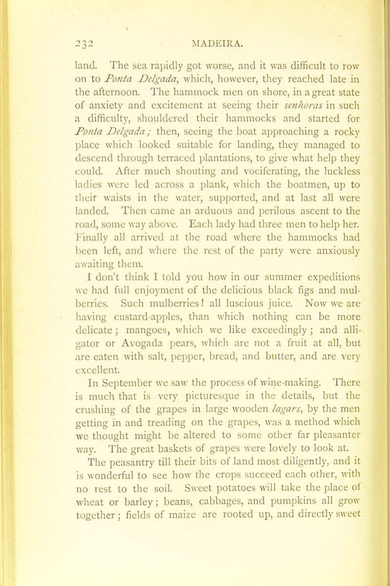 land. The sea rapidly got worse, and it was difficult to row on to Ponta Delgada, which, however, they reached late in the afternoon. The hammock men on shore, in a great state of anxiety and excitement at seeing their senhoras in such a difficulty, shouldered their hammocks and started for Ponta Delgada; then, seeing the boat approaching a rocky place which looked suitable for landing, they managed to descend through terraced plantations, to give what help they could. After much shouting and vociferating, the luckless ladies were led across a i)lank, which the boatmen, up to tlicir waists in the water, supported, and at last all were landed. Then came an arduous and perilous ascent to the road, some way above. Each lady had three men to help her. linally all arrived at tlie road where the hammocks had lieen left, and where the rest of the party were anxiously awaiting them. I don't think I told you how in our summer expeditions we had full enjoyment of the delicious black figs and mul- berries. Such mulberries ! all luscious juice. Now we are having custard apples, than which nothing can be more delicate; mangoes, which we like exceedingly; and alli- gator or Avogada pears, which are not a fruit at all, but are eaten with salt, pepper, bread, and butter, and are very excellent. In September we saw the process of wine-making. There is much that is very picturesque in the details, but the crushing of the grapes in large wooden lagats, by the men getting in and treading on the grapes, was a method which we thought might be altered to some other far pleasanter way. The great baskets of grapes were lovely to look at. The peasantry till their bits of land most diligently, and it is wonderful to see how the crops succeed each other, with no rest to the soil. Sweet potatoes will take the place of wheat or barley ; beans, cabbages, and pumpkins all grow together; fields of maize are rooted up, and directly sweet
