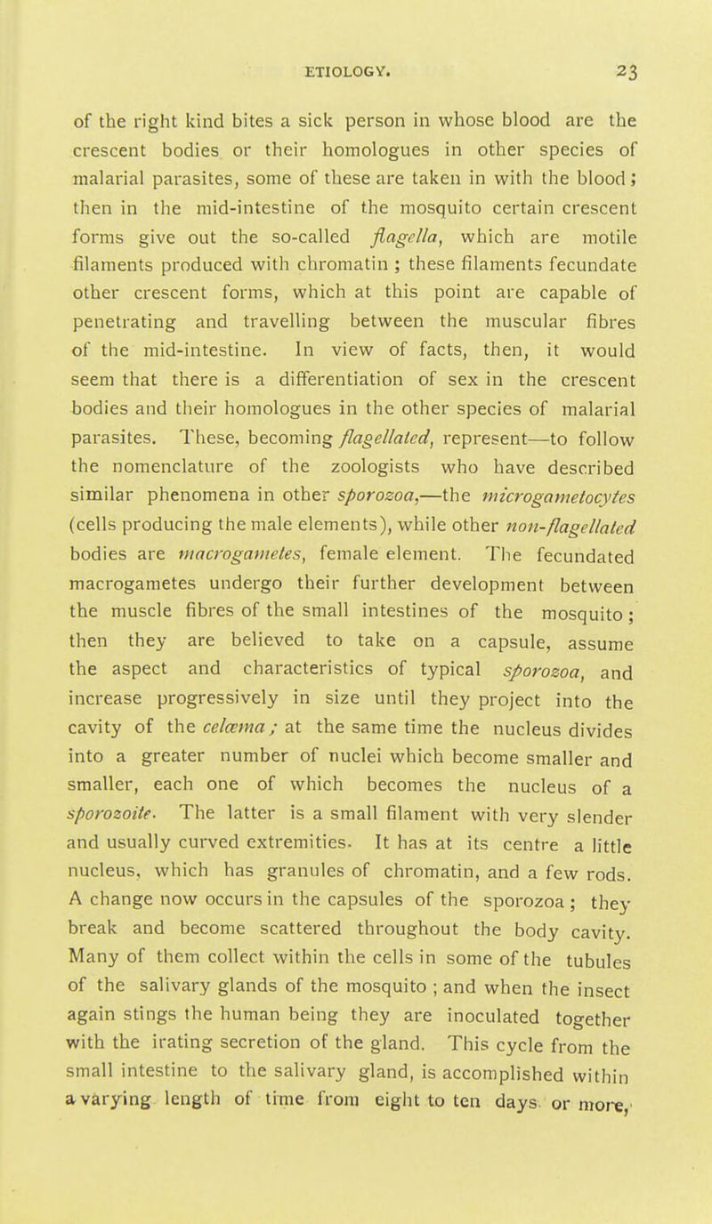 of the right kuid bites a sick person in whose blood are the crescent bodies or their homologues in other species of malarial parasites, some of these are taken in with the blood ; then in the mid-intestine of the mosquito certain crescent forms give out the so-called flagella, which are motile filaments produced with chromatin ; these filaments fecundate other crescent forms, which at this point are capable of penetrating and travelling between the muscular fibres of the mid-intestine. In view of facts, then, it would seem that there is a differentiation of sex in the crescent bodies and their homologues in the other species of malarial parasites. These, becoming flagellated, represent—to follow the nomenclature of the zoologists who have described similar phenomena in other sporozoa,—the microgametocytes (cells producing the male elements), while other non-flagellated bodies are macro gametes, female element. The fecundated macrogametes undergo their further development between the muscle fibres of the small intestines of the mosquito ; then they are believed to take on a capsule, assume the aspect and characteristics of typical sporozoa, and increase progressively in size until they project into the cavity of the celcema; at the same time the nucleus divides into a greater number of nuclei which become smaller and smaller, each one of which becomes the nucleus of a sporozoite. The latter is a small filament with very slender and usually curved extremities. It has at its centre a little nucleus, which has granules of chromatin, and a few rods. A change now occurs in the capsules of the sporozoa ; they break and become scattered throughout the body cavity. Many of them collect within the cells in some of the tubules of the salivary glands of the mosquito ; and when the insect again stings the human being they are inoculated together with the irating secretion of the gland. This cycle from the small intestine to the salivary gland, is accomplished within a varying length of time from eight to ten days, or moi-«,