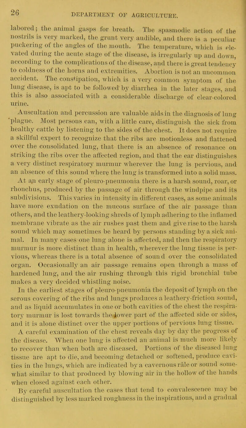 labored; tlie animal gasps for breatli. Tlie spasmodic action of tlie nosti-ils is very marked, the griiut very audible, and there is a ]>eculiar puckering of the angles of the mouth. The temperature, which is ele- vated during the acute stage of the disease, is irregularly up and down, according to the complications of the disease, and there is great tendency to coldness of tlie horns and extrenuties. Abortion is not an uncommon accident. The constipation, which is a very common symptom of the lung disease, is apt to be followed by diarrhea in the later stages, and this is also associated with a considerable discharge of clear-colored urine. Auscultation and percussion are valuable aids in the diagnosis of lung 'plague. Most persons can, with a little care, distinguish the sick from healthy cattle by listening to the sides of the chest. It does not require a skillful expert to recognize that the ribs are motionless and flattened over the consolidated lung, that there is an absence of resonaTice on striking the ribs over the affected region, and that the ear distinguislies a very distinct respiratory murmur wherever the lung is pervious, and an absence of tliis sound where the lung is transformed into a solid mass. At early stage of pleuro pneumonia there is a hai'sh sound, roar, or rhonchus, produced by the passage of air through the windpipe and its subdivisions. This varies in intensity in different cases, as some animals have more exudation on the mucous surface of the air passage than others, and the leathery-looking shreds of lymph adhering to the inflamed membrane vibrate as the air rushes past them and give rise to the harsh sound which may sometimes be heard by persons standing by a sick ani- mal. In many cases one lung alone is affected, and then the respiratory murmur is more distinct than in health, wherever the lung tissue is per- vious, whereas there is a total absence of sound over the consolidated organ. Occasionally an air passage remains open through a uuiss of hardened lung, and the air rushing through this rigid bronchial tube makes a very decided whistling noise. In the earliest stages of pleuro pneumonia the deposit of lymph on the serous covering of the ribs and lungs produces a leathery-friction sound, and as liquid accumulates in one or both cavities of the chest the respii-a- tory murmur is lost towards the^ower part of the affected side or sides, and it is alone distinct over the upper portions of pervious lung tissue. A careful examination of the chest reveals day by day the progress of the disease. When one lung is affected an animal is much more likely to recover than when both are diseased. Portions of the diseased lung tissue are apt to die, and becoming detached or softened, produce cavi- ties in the lungs, which are indicated by a cavernous rale or sound some- what similar to that produced by blowing air in the hollow of the hands when closed against each other. By careful auscultation the cases that tend to convalescence may be distinguished by less nuirked roughness in the inspirations, and a gradual