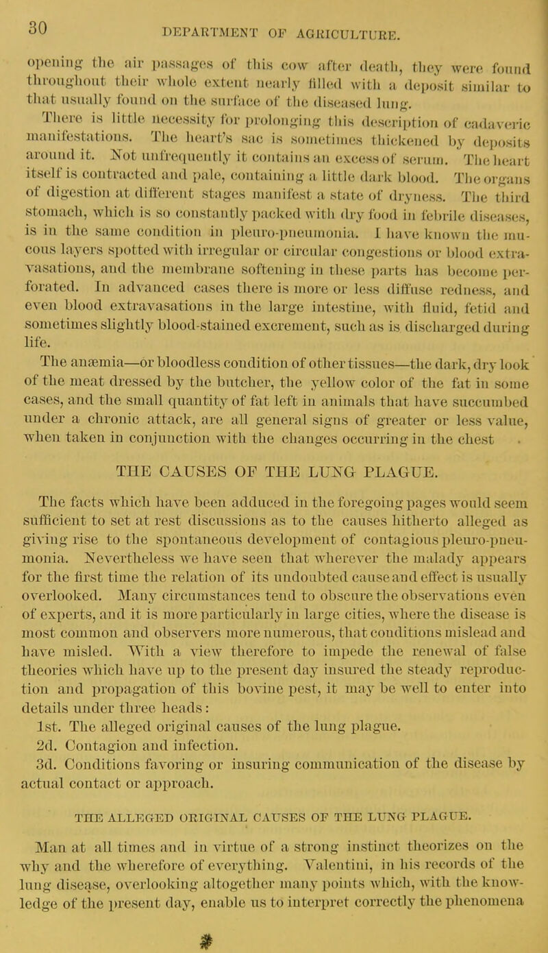 openin^j: the air passages of this cow after death, they were fouiid throughout their whole extent nearly lilled with a deposit similar to ' that usually found on the surface of the diseased lung. Tiiere is little lU'cessity for prolonging this description of cadaveric manifestations. Tiie heart's sac is soni(!tinies tiiickened by de])osit,s arouiul it. Not unfrequently it contains an excess of scrum. Tiic heart; itself is contracted aiul pale, containing a little dark blood. The organs of digestion at different stages manifest a state of dryness. The third stomach, which is so constantly packed with dry food in febrile diseases, is in the same condition in pleuro-pneumonia. 1 have known tiic inn- cous layers spotted with irregular or circular congestions or blood (!xtra- vasations, and the membrane softening in these parts has become per- forated. In advanced cases there is more or less diffuse redness, and even blood extravasations in the large intestine, with fluid, fetid and sometimes slightly blood-stained excrement, such as is discharged during life. The auffimia—or bloodless condition of other tissues—the dark, dry look of the meat dressed by the butcher, the yellow color of the fat in some cases, and the small quantity of fat left in animals that have succumbed under a chronic attack, are all general signs of greater or less value, when taken in conjuuction with the changes occurring in the chest THE CAUSES OF THE LUNG PLAGUE. The facts which have been adduced in the foregoing pages would seem sufficient to set at rest discussions as to the causes hitherto alleged as giving rise to the spontaneous development of contagious pleiu'o-pueu- monia. Nevertheless we have seen that wherever the malady appears for the first time the relation of its undoubted cause and effect is usually overlooked. Many circumstances tend to obscure the observations even of experts, and it is more particularly in large cities, where the disease is most common and observers more numerous, that conditions mislead and have misled. With a view therefore to impede the renewal of false theories which have up to the i)resent day insm^ed the steady reproduc- tion and propagation of this bovine pest, it may be well to enter into details under three heads: 1st. The alleged original causes of the lung plague. 2d. Contagion and infection. 3d. Conditions favoring or insuring communication of the disease by actual contact or approach. THE ALLEGED ORICIINAL CAUSES OF THE LUNG PLAGUE. Man at all times and in virtue of a strong instinct theorizes on the why and the wherefore of everything. A^alentini, in his records of the lung disease, overlooking altogether many points which, with the know- ledge of the present day, enable us to interpret correctly the phenomena
