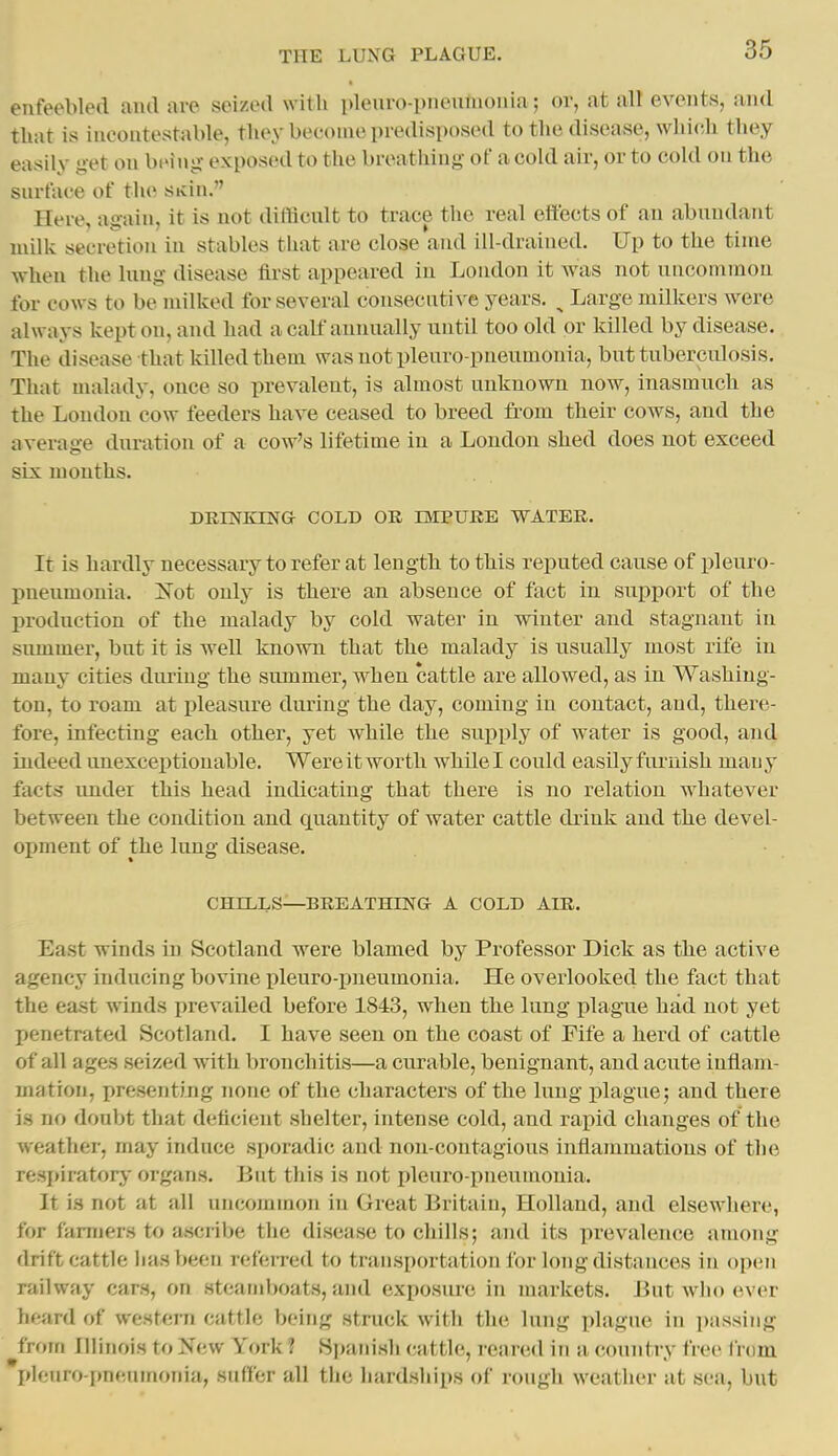 enfeebled and are seized with plenro-pneumonia; or, at all events, and that is iueontestable, they become predisposed to tlie disease, which they easily get on being exposed to the breatliing of a cold air, or to cold on the surface of the sivin. Here, again, it is not diflicnlt to trace the real effects of an abundant milk secretion in stables that are close and ill-drained. Up to the time when the lung disease first appeared in London it was not uncommon for cows to be milked for several consecutive years. ^ Large milkers were always kept on, and had a calf annually until too old or killed by disease. The disease that killed them was not pleuro pneumonia, but tuberculosis. That malady, once so prevalent, is almost unknown now, inasmuch as the Loudon cow feeders have ceased to breed from their cows, and the average duration of a cow's lifetime in a London shed does not exceed six months. DUmKING COLD OE IMPURE WATER. It is hardly necessary to refer at length to this reputed cause of pleuro- pneumonia. 'Not only is there an absence of fact in support of the production of the malady by cold water in winter and stagnant in summer, but it is well known that the malady is usually most rife in many cities during the summer, when cattle are allowed, as in Washing- ton, to roam at pleasure during the day, coming in contact, and, there- fore, infecting each other, yet while the suj)ply of water is good, ajid indeed unexceptionable. Wereitworth whilel could easily furnish many facts under this head indicating that there is no relation whatever between the condition and quantity of water cattle diink and the devel- opment of the lung disease. CHELLS—BREATHING A COLD AIR. East winds in Scotland were blamed by Professor Dick as the active agency inducing bovine iileuro-ijneumonia. He overlooked the fact that the east winds prevailed before 1843, when the lung plague had not yet penetrated Scotland. I have seen on the coast of Fife a herd of cattle of all ages seized with bronchitis—a curable, benignant, and acute inflam- mation, presenting none of the characters of the lung plague; and there is no doubt that deficient shelter, intense cold, and rapid changes of the weather, may induce sporadic and non-contagious inflammations of the respiratory- organs. But this is not pleuro-pneumonia. It is not at all uncommon in Great Britain, Holland, and elsewhere, for farmers to ascribe the disease to chills; and its prevalence among drift cattle lias been referred to transportation for long distances in open railway cars, on steamboats, and exposure in markets. But who ever heard of western cattle being struck with the lung plague in i)assing from Illinois to New York ? Spanish cattle, reared in a country free i rom pleuro-pneumonia, suffer all the hardships of rough weather at sea, but