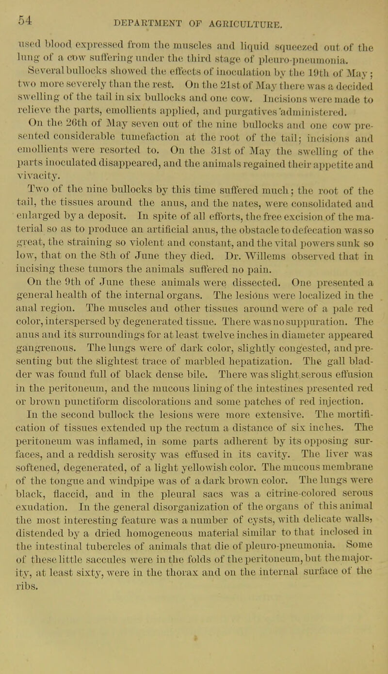 used blood expressed from the muscles and liquid squeezed out of the lung- of a cow suliering under the third stage of pleuro pneumonia. Several bullocks showed the effects of inoculation by the 19th of May; two more severely than the rest. On the 2Lst of May there was a decided swelling of the tail in six bullocks and one cow. Incisions were made to relieve the parts, emollients applied, and purgatives admijiistered. On the 2Gth of May seven out of the nine bullocks and one cow pre- sented considerable tumefaction at the root of the tail; incisions and emollients were resorted to. On the 31st of May the swelling of the. parts inoculated disappeared, and the animals regained their appetite and vivacitj'. Two of the nine bullocks by this time suffered much; the root of the tail, the tissues around the anus, and the nates, were consolidated and enlarged by a deposit. In spite of all efforts, the free excision of the ma- terial so as to produce an artificial anus, the obstacle to defecation was so great, the straining so violent and constant, and the^^tal powers sunk so low, that on the 8th of June they died. Dr. Willems observed that in incising these tumors the animals suffered no pain. On the 9th of June these animals were dissected. One presented a general health of the internal organs. The lesions were localized in the anal region. The muscles and other tissues around wei'e of a pale red color, interspersed by degenerated tissue. There was no suppuration. The anus and its siuToundings for at least twelve inches in diameter appeared gangrenous. The lungs were of dark color, slightly congested, and pre- senting but the slightest trace of marbled hepatization. The gall blad- der was found full of black dense bile. There was slight.serous effusion in the peritoneum, and the mucous lining of the intestines presented red or brown punctiform discolorations and some i)atches of red injection. In the second bullock the lesions were more extensive. The mortifi- cation of tissues extended np the rectum a distance of six inches. The peritoneum was inflamed, in some parts adherent by its opposing sur- faces, and a reddish serosity was effused in its cavity. The Liver was softened, degenerated, of a light yellowish color. The mucous membrane of the tongue and windpipe was of a dark brown color. The lungs were black, flaccid, and in the pleural sacs was a citilne-colored serous exudation. In the general disorganization of the organs of this animal the most interesting feature was a number of cysts, with delicate walls? distended by a dried homogeneous material similar to that inclosed in the intestinal tubercles of animals that die of pleuro-pneumonia. Some of these little saccules were in the folds of the peritoneum, but the major- ity, at least sixty, were in the thorax and on the internal surface of the ribs.