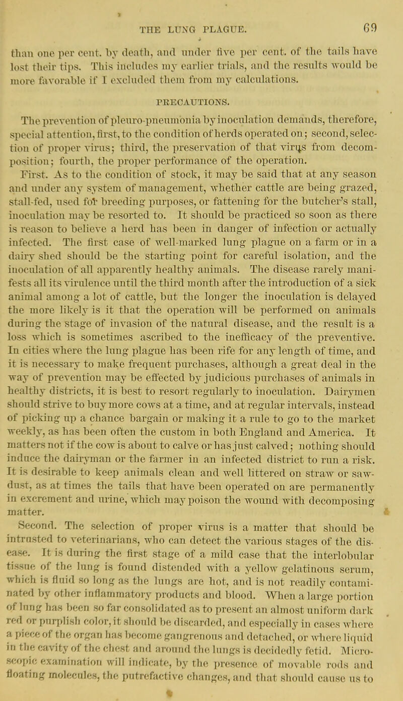 i than one per cent, by deatli, and muler five per cent, of tlie tails luive lost their tips. This includes my earlier trials, and the results Avould be more favorable if I excluded them from my calculations. PRECAUTIONS. The prevention of pleuro pneumonia by inoculation demands, therefore, special attention, first, to the condition of herds operated on; second, selec- tion of proper virus; third, the preservation of that virijs from de(;om- position; fourth, the proper performance of the operation. First. As to the condition of stock, it may be said that at any season and under any system of management, Avhether cattle are being grazed, stall-fed, used fol' breeding i)uri)oses, or fattening for the butcher's stall, inoculation may be resorted to. It should be practiced so soon as there is reason to believe a herd has been in danger of infection or actually infected. Tlie first case of well-marked lung plague on a farm or in a dairy shed should be the starting point for careful isolation, and the inoculation of all apparently healthy animals. The disease rarely mani- fests all its virulence until the third month after the introduction of a sick animal among a lot of cattle, but the longer the inoculation is delayed the more likely is it that the operation will be performed on animals during the stage of invasion of the natural disease, and the result is a loss which, is sometimes ascribed to the inetflcacy of the preventive. In cities where the lung plague has been rife for any length of time, and it is necessary to make frequent purchases, although a great deal in the way of prevention may be effected by judicious purchases of animals in healthy districts, it is best to resort regularly to inoculation. Daii-ymen should strive to buy more cows at a time, and at regular intervals, instead of picking up a chance bargain or making it a rule to go to the market weekly, as has been often the custom in both England and America. It matters not if the cow is about to calve or has just calved; nothing should induce the dairyman or the farmer iu an infected district to run a risk. It is desirable to keep animals clean and well littered on straw or saw- dust, as at times the tails that have been operated on are permanently in excrement and urine, which may poison the wound with decomposing matter. Second. The selection of proper virus is a matter that should be intrusted to veterinarians, who can detect the various stages of the dis- ease. It is during the first stage of a mild case that the interlobular tissue of the lung is found distended Avith a yellow gelatinous serum, which is fluid so long as the lungs are hot, and is not readily contami- nated by other inflammatory products and blood. When a large portion of lung has been so far consolidated as to present an almost uniform dark red or puri)lisli color, it should be discarded, and especially in cases where a piece of the organ has become gangrenous and detached, or where licpiid in the cavity of the chest and around the lungs is decidedly fetid. MWro- scopic examination will indicate, by the presence of movable rods and floating molecules, the putrefactive changes, and that should cause us to