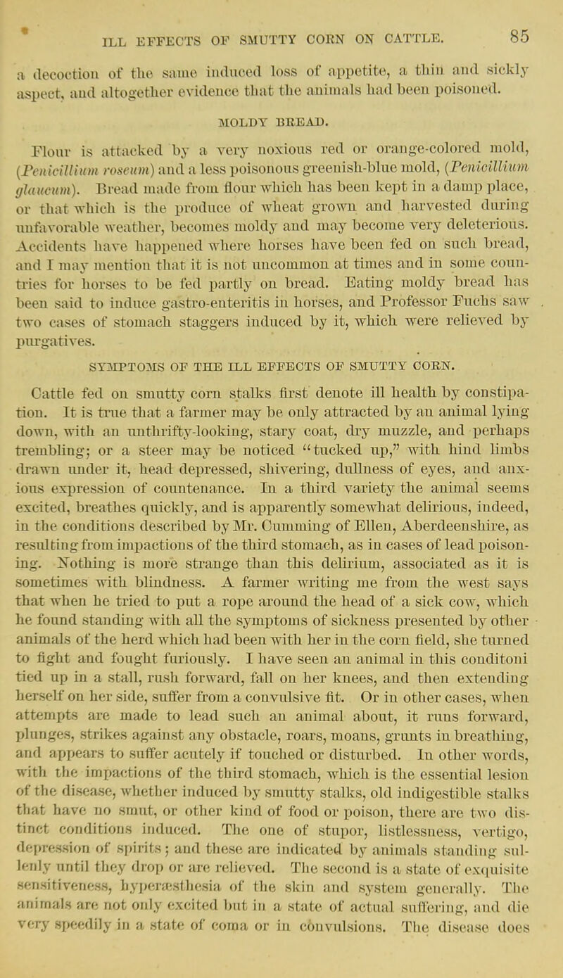 « ILL EFFECTS OF SMUTTY CORN ON CATTLE. 85 a ilecoc'tioii of the same induced loss of appetite, a tliiu and sickly aspect, and altogether evidence that the animals had been poisoned. MOLDY BREAD. Flour is attacked by a very noxious red or orange-colored mold, {PeniciUium roseum) and a less poisonous greenish-blue mold, {Fenicillium (jlaucum). Bread made from flour which has been kept in a damp place, or that which is the produce of wheat grown and harvested during unfavorable weather, becomes moldy and may become very deleterious. Accidents have happened where horses have been fed on such bread, and I may mention that it is not uncommon at times and in some coun- tries for horses to be fed partly on bread. Eating moldy bread has been said to induce gastro-enteritis in horses, and Professor Fuchs saw two cases of stomach staggers induced by it, which were relieved by piu'gatives. SYMPTOMS OF THE LLL EFFECTS OF SMUTTY CORN. Cattle fed on smutty corn stalks first denote ill health by constipa- tion. It is true that a farmer may be only attracted by an animal lying- down, with an unthrifty-looking, stary coat, dry muzzle, and perhaps trembling; or a steer may be noticed tucked up, with hind limbs drawn under it, head depressed, shivering, dullness of eyes, and anx- ious expression of countenance. In a third variety the animal seems excited, breathes quickly, and is apparently somewhat delirious, indeed, in the conditions described by Mr. Gumming of Ellen, Aberdeenshire, as residtingfrom imijactions of the third stomach, as in cases of lead poison- ing. Nothing is more strange than this delirium, associated as it is sometimes with blindness. A farmer writing me from the west says that when he tried to put a rope around the head of a sick cow, which he found standing with all the symptoms of sickness j)resented by other animals of the herd which had been with her in the corn field, she tiu^ned to fight and fought furiously. I have seen an animal in this conditoni tied up in a stall, rush forward, fall on her knees, and then extending herself on her side, suffer from a convulsive fit. Or in other cases, when attemj)ts are made to lead such an animal about, it runs forward, jjlunges, strikes against any obstacle, roars, moans, grunts inbreathing, and appears to suffer acutely if touched or disturbed. In other words, with the impactions of the thii-d stomach, which is the essential lesion of the disease, whether induced by smutty stalks, old indigestible stalks that have no smut, or other kind of food or poison, there are two dis- tinct conditions induced. The one of stupor, listlessness, vertigo, df'f)re.ssion of sjurits; and these are indicated by animals standing sul- lenly until tliey drop or are relieved. Tlie second is a state of excpiisite sensitiveness, hyi^eru-stliesia of the skin and system generally. The animals are not only excited but in a state of actual suffering, and die verj,' .speedily in a state of coma or in c6nvulsions. The disease does