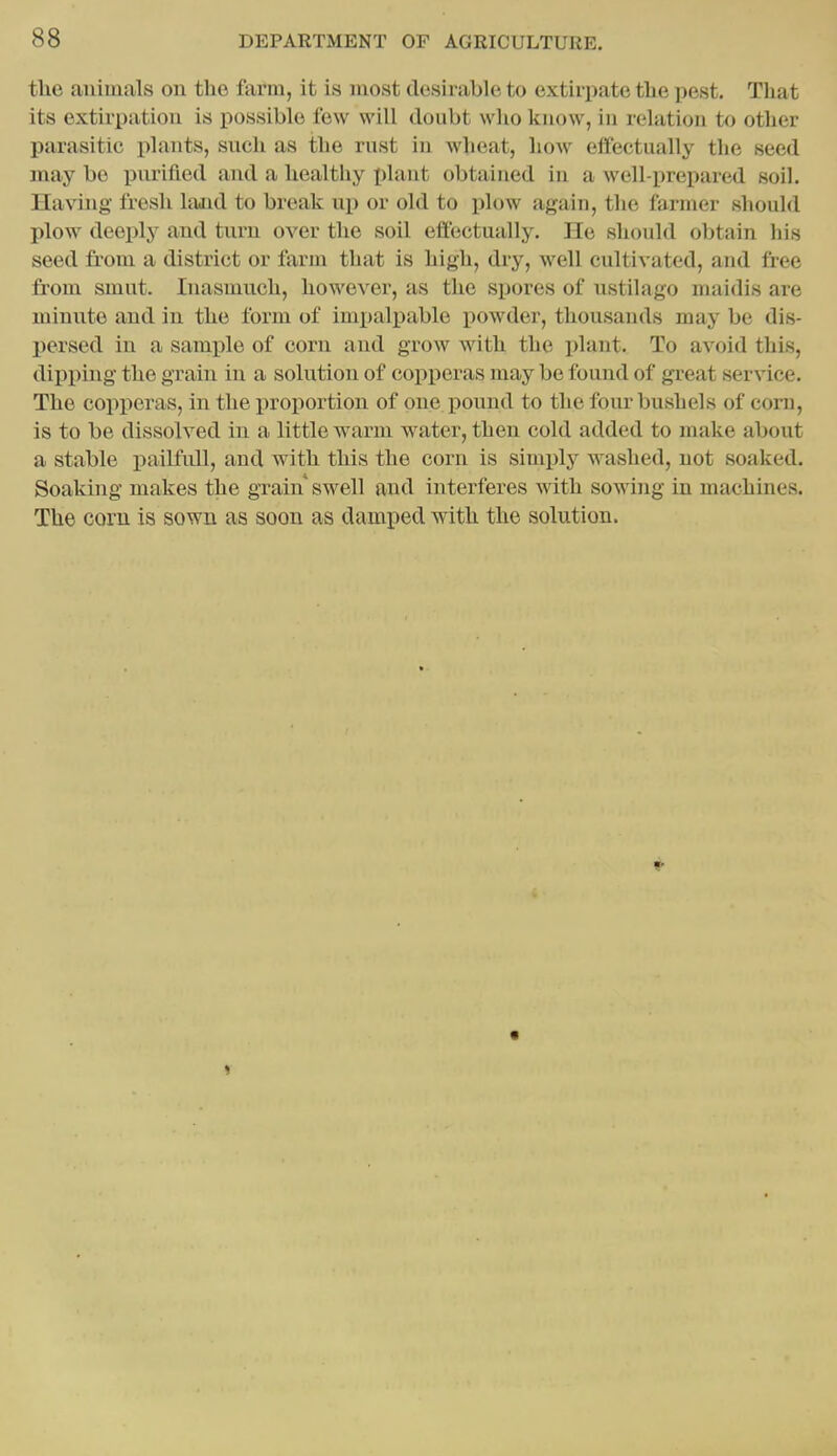the animals on the farm, it is most desii'able to extirpate the pest. That its extiriiation is possible few will doubt who know, in relation to other parasitic plants, such as tlie rust in wheat, how effectually the seed may be purified and a healtliy plant obtained in a well-prepared soil. Having fresh land to break up or old to plow again, the farmer should plow deeply and turn over the soil effectually. He should obtain his seed from a district or farm that is high, dry, well cultivated, and free from smut. Inasmuch, however, as the si)ores of nstiUigo maidis are minute and in the form of impalpable powder, thousands may be dis- persed in a sample of corn and grow with the plant. To avoid this, dipping the grain in a solution of copperas may be found of great service. The copperas, in the iiroportion of one pound to the four bushels of corn, is to be dissolved in a little warm water, then cold added to make about a stable i)ailfull, and with this the corn is simply washed, not soaked. Soaking makes the grain swell and interferes with sowiiig in machines. The corn is sown as soon as damped with the solution.