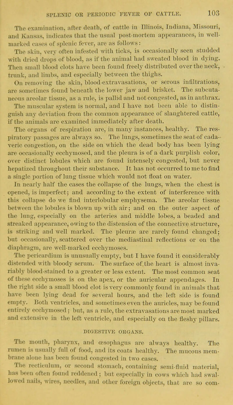 The cxauiination, after deatli, of cattle in Illinois, Indiana, Missouri, and Kansas, indicates that the usual post-mortem appearances, in well- marked cases of splenic fever, are as follows: The skin, very often infested with ticks, is occasionally seen studded with dried drops of blood, as if the animal had sweated blood in dying. Then small blood clots have been found freely distributed over the ueck, ti'unk, and limbs, and especially between the thighs. On removing the skin, blood-extravasations, or serous infiltrations, are sonu^times fouud beneath the lower jaw aud brisket. The subcuta- ueous areolar tissue, as a rule, is pallid and not congested, as in anthrax. The muscular system is normal, and I have not been able to distin- guish any deviation from the common appearance of slaughtered cattle, if the animals are examined immediately after death. The organs of respiration are, in many instances, healthy. The res- piratory passages are always so. The lungs, sometimes the seat of cada- veric congestion, on the side on which the dead body has been lying are occasionally ecchymosed, and the pleura is of a dark purplish color, over distinct lobules which ai-e found intensely congested, but never hepatized throughout their substance. It has not occurred to me to find a single portion of lung tissue which would not float on water. In nearly half the cases the collapse of the hings, when the chest is opened, is imperfect; and according to the extent of interference with this collapse do we find interlobular emphysema. The areolar tissue between the lobules is blown up with air; and on the outer aspect of the lung, especially on the arteries and middle lobes, a beaded and streaked appearance, owing to the distension of the connective structure, is striking and well marked. The pleurae are rarely found changed; but occasionally, scattered over the mediastinal reflections or on the diaphragm, are well-marked ecchj-moses. The pericardium is unusually emi)ty, but I have found it considerably distended with bloody serum. The surface of.the heart is almost inva- riably blood-stained to a greater or less extent. The most common seat of these ecchymoses is on the apex, or the auricular appendages. In the right side a small blood clot is very commonly found in animals that have been lying dead for several hours, and the left side is found empty. Both ventricles, and sometimes even the auricles, may be found entirely ecchymosed; but, as a rule, the extravasations are most marked aud extensive in the left ventricle, and especially on the fleshy pillars. DIGESTIVE ORGANS. Tlie mouth, pharj-nx, and oesophagus are always healthy. The nunen is usually full of food, and its coats healthy. The mucous mem- brane alone has been found congested in two cases. The recticulum, or second stomach, containing semi-fluid material, has been often found reddened; but especially in cows which had swal- lowed nails, wires, needles, and other foreign objects, that are so com-