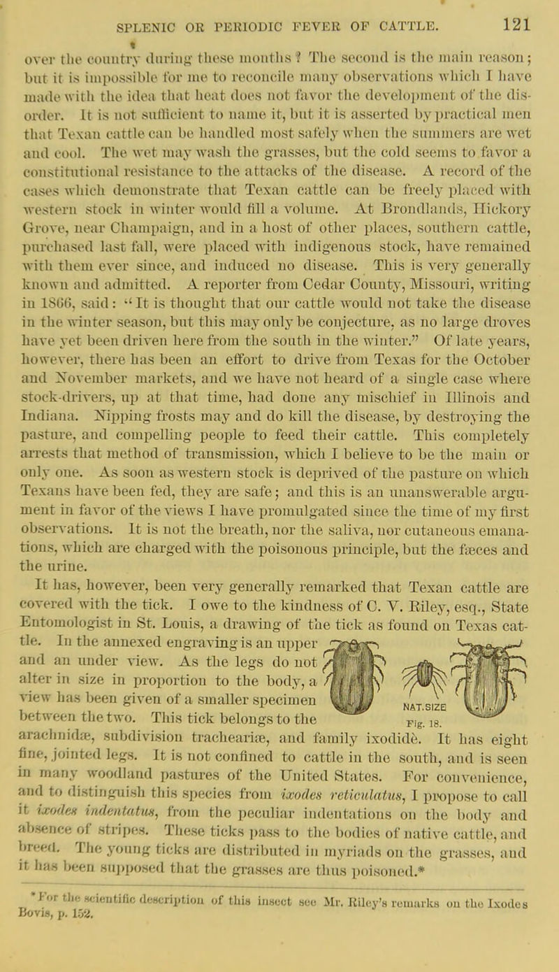 over the couutry dnring these months ? The second is the main reason; bnt it is impossible for me to reconcile many observations Avliich I have made with the idea that heat does not favor the develojjment of the dis- oixler. It is not sntlicient to name it, bnt it is asserted by practical men that Texan cattle can be handled most safely when the summers are wet and cool. The wet may wash the grasses, but the cold seems to favor a constitutional resistance to the attacks of the disease. A record of the cases which demonstrate that Texan cattle can be freely placed with western stock in winter would fill a volume. At Brondlands, Hickory Grove, ueai' Champaign, and in a bost of other places, southern cattle, purchased last tall, were placed with indigenous stock, have remained with them ever since, and induced no disease. This is very generally known and admitted. A reporter from Cedar Countj^, Missouri, writing in 1SG6, said :  It is thought that our cattle w^ould not take the disease in the winter season, bnt this may only be conjecture, as no large droves have yet been driven here from the south in the winter. Of late years, however, there has been an effort to drive from Texas for the October and Xo\ ember markets, and we have not heard of a single case wbere stock-drivers, up at that time, bad done any mischief in Illinois and Indiana, i^ipping frosts may and do kill the disease, by destroying the pastiu-e, and compelling people to feed their cattle. This completely aiTests that method of transmission, wbich I bebeve to be the main or only one. As soon as Avestern stock is deprived of the pasture on which Texans have been fed, they are safe; and this is an unanswerable argu- ment in favor of the views I have ijromulgated since the time of my first observations. It is not the breath, nor the saliva, nor cutaneous emana- tions, which are charged with the poisonous principle, but the fteces and the urine. It has, however, been very generally remarked that Texan cattle are covered with the tick. I owe to the kindness of 0. Y. Eiley, esq., State Entomologist in St. Louis, a drawing of the tick as found on Texas cat- tle. In the annexed engraving is an upper and an under view. As the legs do not | alter in size in proportion to the body, a view has been given of a smaller specimen between the two. This tick belongs to the arachnidfe, subdivision tracheariaj, and family ixodide. It has eight fine, jointed legs. It is not confined to cattle in the south, and is seen in many woodland pastures of the United States. For convenience, and to distinguish this species from ixodes reticulatus, I pi'opose to call It ixoden indentatm, from the peculiar indentatioiis on the body and absence of stripes. These ticks ])ass to the bodies of native cattle, and hTitcd. Tlie young ticks are distributed in myriads on the grasses, and it has been supposed that the grasses are thus poisoned.* •For the scientific descriptiou of tliis iiiHcct see Mr. Riley's remarks ou the Ixodes Bovis, i>. 152.