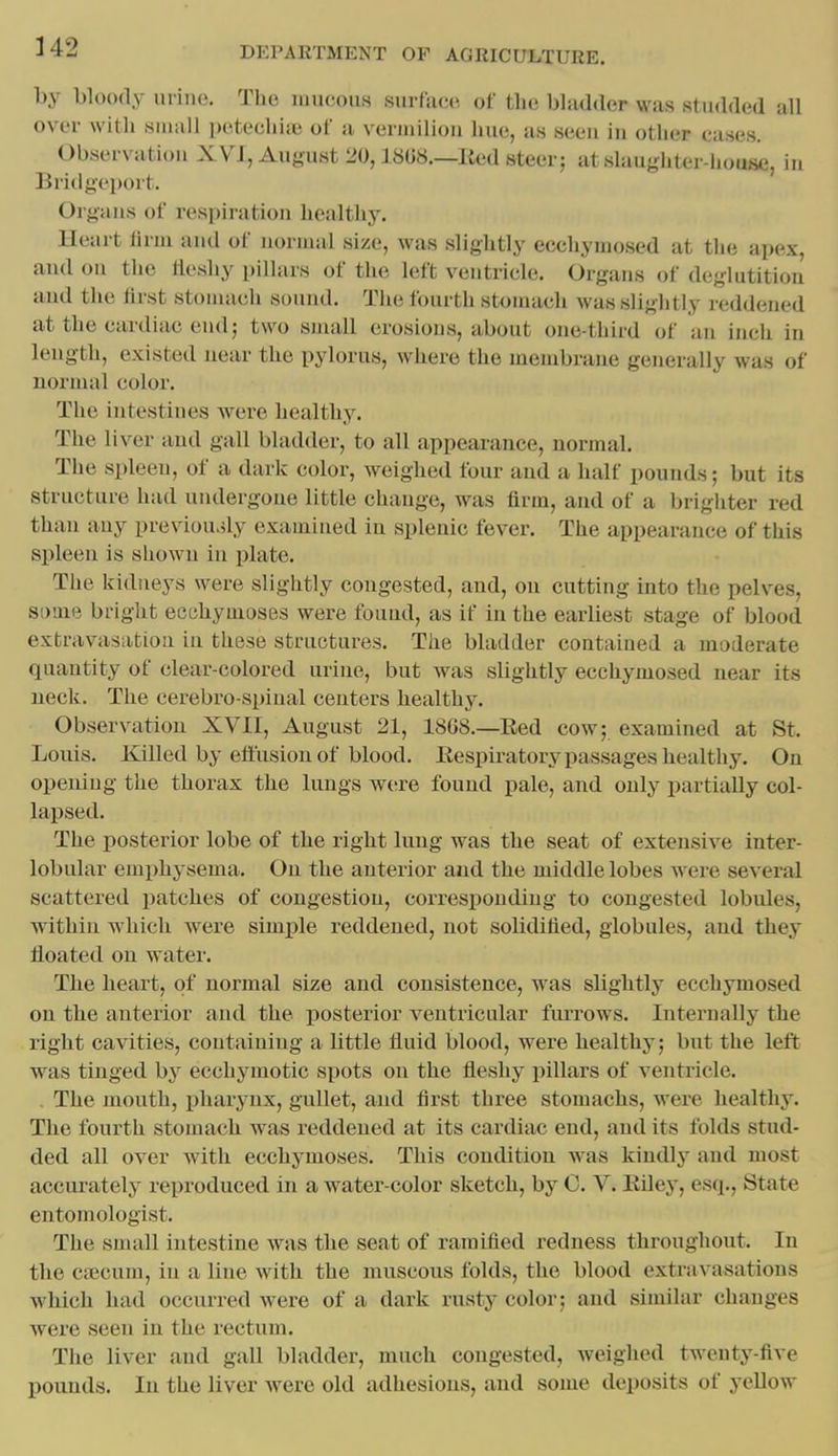 l)y bloody urine. The mucous surface of the bhidder was studded all over with small petechije of a vermilion hue, as seen in other cases. Observation XVI, August 20,18(58.—Red steer; at slaughter-house, in Bri(ig('i)ort. Organs of res[)iration healthy. Heart lirni and of nornuil size, was slightly ecchyuiosed at the apex, and on the lieshy pillars of the left ventricle. Organs of deglutition and the lirst stounieh sound. The fourth stomach was sliglitly reddened at the cardiac end; two small erosions, about one-third of an inch in length, existed near the pylorus, where the membrane generally was of normal color. The intestines were healthy. The liver and gall bladder, to all appearance, normal. The spleen, of a dark color, weighed four and a half pounds; but its structure had undergone little change, was firm, and of a brigliter red than any previouoly examined in splenic fever. The appearance of this spleen is shown in plate. The kidneys were slightly congested, and, on cutting into the pelves, some bright ecchymoses were found, as if in the earliest stage of blood extravasation in these structures. The bladder contained a moderate quantity of clear-colored urine, but was slightly ecchymosed near its ueck. The cerebro-spinal centers healthy. Observation XVII, August 21, 1868.—Eed cow; examined at St. Louis. Killed by effusion of blood. Respiratory passages healthy. On opening the thorax the lungs were found pale, and only partially col- lapsed. The posterior lobe of the right lung was the seat of extensive inter- lobular emphysema. On the anterior and the middle lobes were several scattered patches of congestion, corresponding to congested lobules, Avithin which were simple reddened, not solidified, globules, and they floated on water. The heart, of normal size and consistence, was slightly ecchymosed on the anterior and the jiosterior ventricular furrows. Internally the right cavities, containing a bttle fluid blood, were healthy; but the left was tinged by ecchymotic spots on the fleshy pillars of ventricle. The mouth, ijharynx, gullet, and first three stomachs, were healthy. The fourth stomach was reddened at its cardiac end, and its folds stud- ded all over with ecchymoses. This condition was kindly and most accurately reproduced in a water-color sketch, by 0. V. RUey, esq., State entomologist. The small intestine was the seat of ramified redness throughout. In the caecum, in a line with the muscous folds, the blood extravasations which had occurred were of a dark rusty color; and similar changes were seen in the rectum. The liver and gall bladder, much congested, weighed twenty-five pounds. In the liver were old adhesions, and some deposits of yellow
