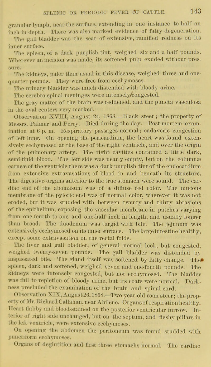 granular Ij'mpli, ueartho snrtace, extending- in one instance to half an iiu'li in clei)th. There was also marked evidence of tatty degeneration. The gall bladder was the seat of extensive, ramified redness on its inner snrface. The spleen, of a dark purplish tint, weighed six and a half pounds. Wherever an incision was made, its softened pulp exuded without pres- sure. The kidneys, paler than usual in this disease, weighed three and one- (piarter pounds. They were free from ecchymoses. The urinary bladder was much distended with bloody urine. The cerebro-spiual meninges were intensely/congested. The gi-ay matter of the brain was reddened, and the puncta vasculosa in the oval centers very marked. Observation XVIII, August 24, 1868,—Black steer; the property of ]\[essrs. Palmer and Perry. Died dimng the day. Post-mortem exam- ination at 6 p. m. Eespii-atory passages normal; cadaveric congestion of left lung. On oiJening the pericardium, the heart was found exten- sively ecohyraosed at the base of the right ventricle, and over the origin of the pulmonary artery. The right cavities contained a little dark, semi-fluid blood. The left side was nearly em])tj, but on the columure carneffi of the ventricle there was a dark pui'plish tint of the endocardium from extensive extravasations of blood in and beneath its structure. The digestive organs anterior to the true stomach were sound. The car- diac end of the abomasum was of a diffuse red color. The mucous membrane of the pyloric end was of normal color, wherever it was not eroded, but it was studded with between twenty and thirty abrasions of the ei)ithelium, exposing the vascular membrane in patches varying from oue-foiuth to one and one-half inch in length, and usually longer than broad. The duodenum was turgid with bile. The jejunum was extensively ecchymosed on its inner surface. The large intestine healthy, except some extravasation on the rectal folds. The liver and gall bladder, of general normal look, but congested, weighed twenty-seven pounds. The gall bladder was distended by inspissated bile. The gland itself was softened by fatty change. The* spleen, dark and softened, weighed seven and one-fourth pounds. The kidneys were intensely congested, but not ecchymosed. The bladder was full to repletion of bloody urine, but its coats were normal. Dark- ness precluded the examination of the brain and spinal cord. Observation XIX, August2G,18G8.-^Two-year-old roan steer; the prop- erty of Mr. Richard Callahan, near Abilene. Organs of respiration healthy. Heart flabby and blood-stained on the posterior ventricular fiuTow. In- terior of right side unchanged, but on the septum, and fleshy pillars in the left ventricle, were exteiisive ecchymoses. On opening the abdomen the peritoneum was found studded witli punctifonu ecchymoses. Organs of deglutition and first three stomachs normal. The cardiac