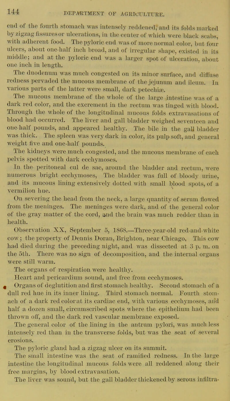 end of tlie fourth stomach was intensely reddened, and its fohls marked by zigzag-fissures or ulcerations, in the center of which were blaek scabs, with adlierent food. The i)yloric end was of more normal color, but four ulcers, about one-half inch broiul, and of irregular shape, existed in its middle; and at the pyloric end was a larger spot of ulceration, about one inch in length. The duodenum was much congested on its minor surface, and diffuse redness pervaded the mucous membrane of the jejunum and ileum. In various parts of the latter were small, dark petechiai. The mucous membrane of the whole of the large intestine was of a dark red color, and the excrement in the rectum was tinged Avith blood. Through the whole of the longitudinal mucous folds extravasations of blood liad occurred. The liver and gall bladder weighed seventeen and one-half pounds, and appeared healtby. The bile in the gall bladder was thick. The spleen was very dark in color, its pulp soft, and general weight five and one-half pounds. The kidneys were much congested, and the mucous membrane of each pelvis spotted with dark ecchymoses. In the peritoneal cul de sac, around the bladder and rectum, were numerous bright ecchymoses. The bladder was full of bloody urine, and its mucous lining extensively dotted with small blood spots, of a vermilion hue. ^ On seA-ering the head from the neck, a large quantity of serum flowed from the meninges. The meninges were dark, and of the general color of the gray matter of the cord, and the brain was much redder than in health. Observation XX, September 5, 1868.—Three-year-old red-and-white cow; the pro]perty of Dennis Doran, Brighton, near Chicago, This coat had died during the i)receding night, and was dissected at 3 p. m. on the 5th. There was no sign of decomposition, and the internal organs were still warm. The organs of respiration were healthy. Heart and pericardium sound, and free from ecchymoses. g Organs of deglutition and first stomach healthy. Second stomach of a dull red hue in its inner lining. Third stomach normal. Fourth stom- ach of a dark red color at its cardiac end, with various ecchymoses, an'd half a dozen small, circumscribed spots where the eiiithelium had been thrown off', and the dark red vascular membrane exposed. The general color of the lining in the antrum p^'lori, was much less intensely red than in the transverse folds, but was the seat of several erosions. The pyloric gland had a zigzag ulcer on its summit. The small intestine was the seat of ramified redness. In the large intestine the longitudinal mucous folds were all reddened along their free mnrgins, b^'^ blood extravasation. The liver was sound, but the gall bladder thickened by serous infiltra-