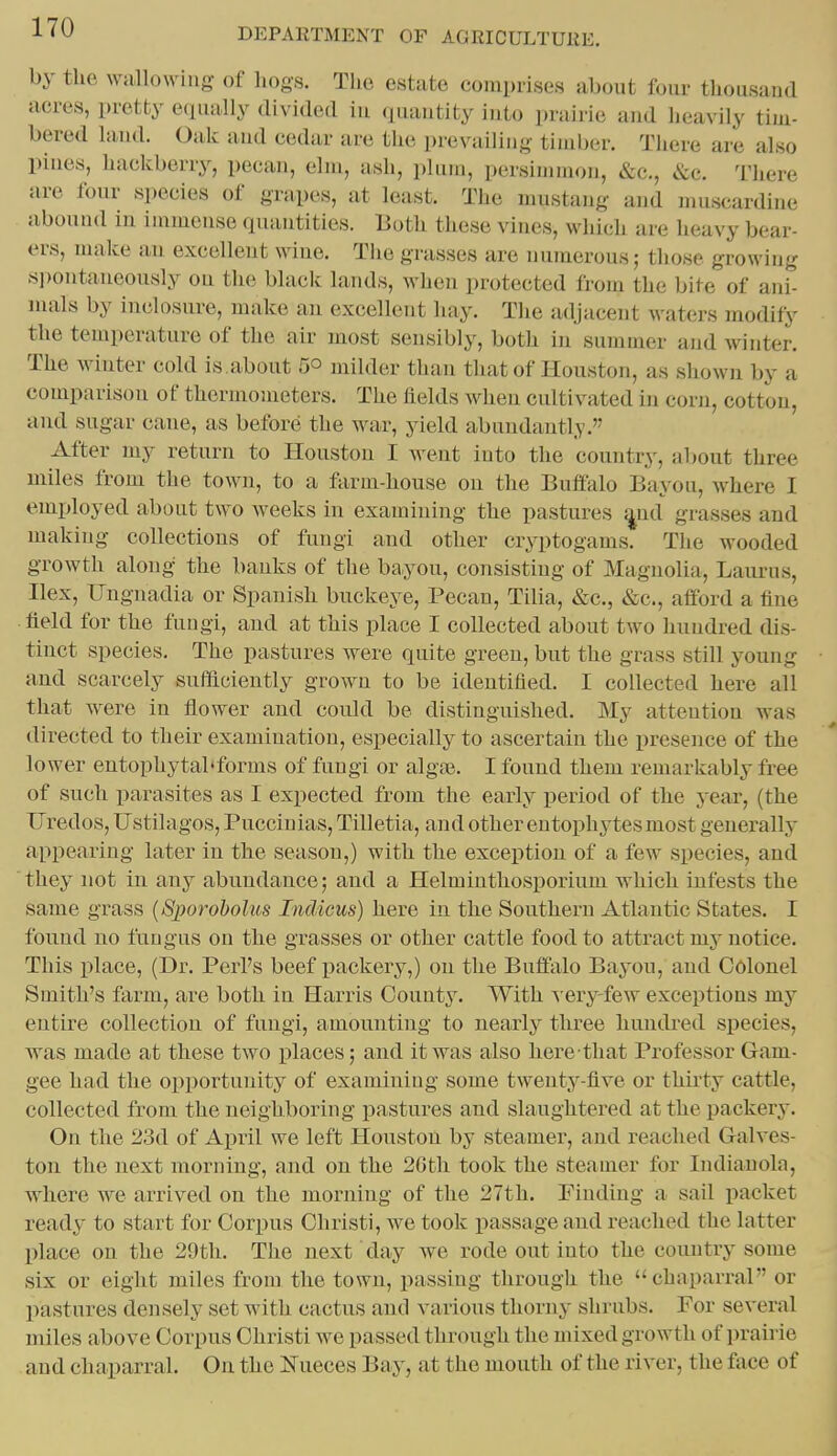 by the wallowing of hogs. The estate comprises about four thousand acres, pretty eipially divided in quantity into prairie and heavily tim- bered land. Oak and cedar are the prevailing timber. Tliere are also pines, hackberry, pecan, elm, ash, plum, persimmon, &c., &c. There are four species of grapes, at least. The mustang and muscardine abound in immense quantities. Both these vines, which are heavy bear- ers, make an excellent wine. Tiie grasses are numerous; those growing 8i)ontaueously on the black lands, when protected from the bite of ani- mals by inclosure, make an excellent liay. The adjacent waters modify the temperature of the air most sensibly, both in summer and winter. The winter cold is about 5° milder than that of Houston, as shown by a comparison of thermometers. The lields when cultivated in corn, cotton, and sugar cane, as before the war, yield abundantly.' After my return to Houston I went into the country, about three miles from the town, to a farm-house on the Bufialo Bayou, where I employed about two weeks in examining the pastures ^nd^ grasses and making collections of fungi and other cryptogams. The wooded growth along the banks of the bayou, consisting of Magnolia, Laurus, Ilex, Ungnadia or Spanish buckeye, Pecan, Tilia, &c., &c., afford a fine field for the fungi, and at this place I collected about two hundred dis- tinct species. The pastures were quite green, but the grass still young and scarcely sufficiently grown to be identified. I collected here all that were in flower and could be distinguished. My attention was directed to their examination, especially to ascertain the presence of the lower entophytal'forms of fungi or algte. I found them remarkably free of such parasites as I expected from the early period of the year, (the Uredos, Ustilagos, Puccinias, Tilletia, and other entophytes most generally appearing later in the season,) with the exception of a few species, and they not in any abundance; and a Helminthosporium which iufests the same grass {Sporoholus Indicus) here in the Southern Atlantic States. I found no fungus on the grasses or other cattle food to attract my notice. This i^lace, (Dr. Perl's beef packery,) on the Buffalo Bayou, and Colonel Smith's farm, are both in Harris County. With ^•ery-few exceptions my entire collection of fungi, amounting to nearly three hundred species, was made at these two places; and it was also here that Professor Gam- gee had the opportunity of examining some twenty-five or thirty cattle, collected from the neighboring pastures and slaughtered at the packery. On the 23d of A^jril we left Houston by steamer, and reached Galves- ton the next morning, and on the 26th took the steamer for Indianola, where we arrived on the morning of the 27th. Finding a sail packet ready to start for Corpus Christi, we took passage and reached the latter place on the 29th. The next day we rode out into the country some six or eight miles from the town, passing through the chaparral or pastures densely set with cactus and various thorny shrubs. For several miles above Corpus Christi we passed through the mixed growth of prairie and chaparral. On the Nueces Bay, at the mouth of the river, the face of