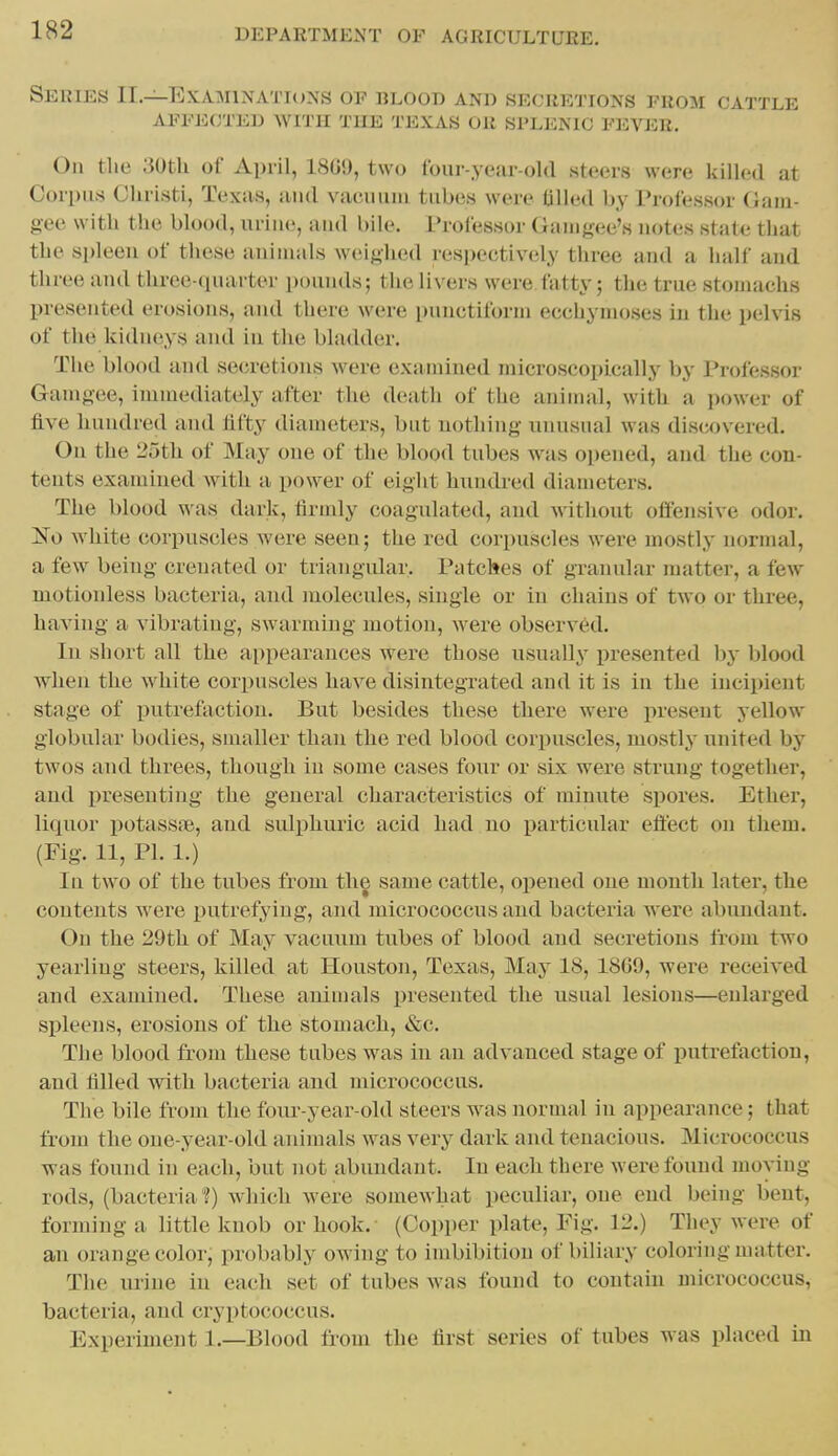 Series II.—Examinations of blood and secretions from cattle AFFECTED WITH THE TEXAS OR SPLENIC FEVER. On tlie ;}Otli of April, 1809, two lbai--year-old steers were killed at Corpus Cliristi, Texas, and vacimni tubes were filled by Professor Gam- gee with the blood, urine, and bile. Professor Ganigee's notes state that the spleen of these animals weiglu^d respectively three and a half and three and three-quarter pounds; the livers were fatty; the true stomachs presented erosions, and there were punctiform ecchynujses iu the pelvis of the kidneys and iu the bladder. The blood and secretions were examined microscopically by Professor Gamgee, immediately after the death of the animal, with a iiower of five hundred and fifty diameters, but nothing luuisnal was discovered. On the 25tli of May one of the blood tubes was opened, and the con- tents examined with a power of eight hnndred diameters. The blood was dark, firmly coagulated, and without offensive odor, white corpuscles were seen; the red corpuscles were mostly normal, a few being crenated or triangular. Patches of granular matter, a few motionless bacteria, and molecules, single or iu chains of two or three, having a vibrating, swarming motion, were observed. In short all the appearances were those usually presented by blood when the white corpuscles have disintegrated and it is iu the incipient stage of putrefaction. But besides these there were present yellow globular bodies, smaller than the red blood corpuscles, mostly united by twos and threes, though iu some cases four or six were strung together, and presenting the general characteristics of minute spores. Ether, liquor potassoe, and sulphuric acid had uo particular effect on them. (Fig. 11, PI. 1.) In two of the tubes from the same cattle, opened one mouth later, the contents were putrefying, and micrococcus and bacteria were abundant. On the 29th of May vacuum tubes of blood and secretions fi'om two yearling steers, killed at Houston, Texas, May IS, 18G9, were received and examined. These auimals presented the usual lesions—enlarged spleens, erosions of the stomach, &c. The blood from these tubes was in an advanced stage of putrefaction, and filled with bacteria and micrococcus. The bile from the four-year-old steers was normal in appearance; that from the one-year-old animals was very dark and tenacious. Micrococcus was found in each, but not abundant. In each there were found moving rods, (bacteria?) which Avere somewhat peculiar, one end being lient, forming a little knob or hook. (Copper plate, Fig. 12.) They were of an orange color, probably owing to imbibition of biliary coloring matter. The urine iu each set of tubes was found to contain micrococcus, bacteria, and cryptococcus. Experiment 1.—Blood from the first series of tubes was placed in