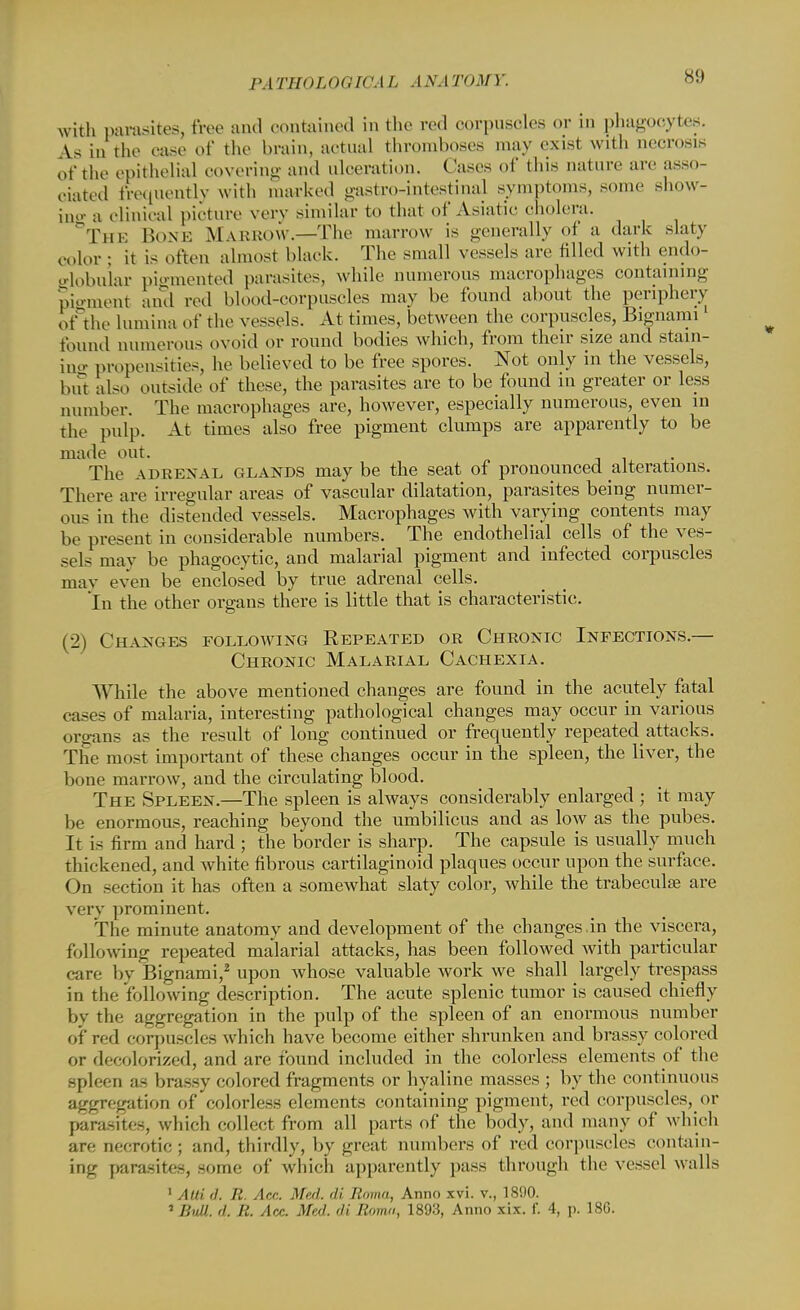 with parasites, free and contained in the red oorpuscles or In phagocytes. in the case of the brain, actual thromboses may exist with necrosis of the epithelial covering and ulceration. Cases of this nature are asso- ciated frequently with marked gastro-intestinal symptoms, some show- ing a clinical picture very similar to that of Asiatic cholera. The Bone Marrow.—The marrow is generally oi a dark slaty color ; it is often almost black. The small vessels are filled with endo- globular pigmented parasites, while numerous macrophages containing pigment and red blood-corpuscles may be found about the periphery of the lumina of the vessels. At times, between the corpuscles, Bignami found numerous ovoid or round bodies which, from their size and stain- mo- propensities, he believed to be free spores. Not only in the vessels, but also outside of these, the parasites are to be found in greater or less number. The macrophages are, however, especially numerous, even in the pulp. At times also free pigment clumps are apparently to be made out. The adrenal glands may be the seat of pronounced alterations. There are irregular areas of vascular dilatation, parasites being numer- ous in the distended vessels. Macrophages with varying contents may be present in considerable numbers. The endothelial cells of the ves- sels may be phagocytic, and malarial pigment and infected corpuscles may even be enclosed by true adrenal cells. In the other organs there is little that is characteristic. (2) Changes following Repeated or Chronic Infections- Chronic Malarial Cachexia. While the above mentioned changes are found in the acutely fatal cases of malaria, interesting pathological changes may occur in various organs as the result of long continued or frequently repeated^ attacks. The most important of these changes occur in the spleen, the liver, the bone marrow, and the circulating blood. The Spleen.—The spleen is always considerably enlarged ; it may be enormous, reaching beyond the umbilicus and as low as the pubes. It is firm and hard ; the border is sharp. The capsule is usually much thickened, and white fibrous cartilaginoid plaques occur upon the surface. On section it has often a somewhat slaty color, while the trabecula? are very prominent. The minute anatomy and development of the changes.in the viscera, following repeated malarial attacks, has been followed with particular care by Bignami,2 upon whose valuable work we shall largely trespass in the following description. The acute splenic tumor is caused chiefly by the- aggregation in the pulp of the spleen of an enormous number of red corpuscles which have become either shrunken and brassy colored oi- decolorized, and are found included in the colorless elements of the spleen a- brassy colored fragments or hyaline masses ; by the continuous aggregation of colorless elements containing pigment, red corpuscles, or parasites, which collect from all parts of the body, and many of which are necrotic; and, thirdly, by great numbers of red corpuscles contain- ing parasites, some of which apparently pass through the vessel walls 1 Aid d. R. Ace. Med. di Enma, Anno xvi. v., 1890.