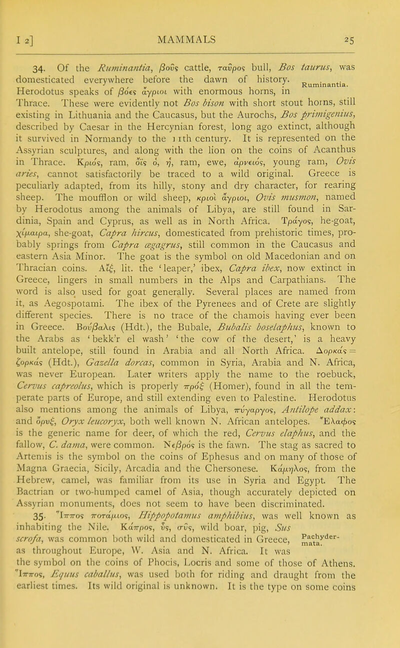 34. Of the Riiminantia, l3ov<; cattle, raupos bull, Bos tatirus, was domesticated everywhere before the dawn of history. „ XX, , ,-/^/v •, 1 • Ruminantia. Herodotus speaks of pots aypiot with enormous horns, m Thrace. These were evidently not Bos bison with short stout horns, still existing in Lithuania and the Caucasus, but the Aurochs, Bos primigeniiis, described by Caesar in the Hercynian forest, long ago extinct, although it survived in Normandy to the i ith century. It is represented on the Assyrian sculptures, and along with the lion on the coins of Acanthus in Thrace. Kpio'?, ram, oi% 6, 77, ram, ewe, apveid?, young ram, Ovis aries, cannot satisfactorily be traced to a wild original. Greece is peculiarly adapted, from its hilly, stony and dry character, for rearing sheep. The moufflon or wild sheep, Kptoi ayptot, Ovis musmon, named by Herodotus among the animals of Libya, are still found in Sar- dinia, Spain and Cyprus, as well as in North Africa. Tpayos, he-goat, XHiaipa, she-goat, Capra hircus, domesticated from prehistoric times, pro- bably springs from Capra cegagrus, still common in the Caucasus and eastern Asia Minor. The goat is the symbol on old Macedonian and on Thracian coins. At^, lit. the 'leaper,' ibex, Capra ibex, now extinct in Greece, lingers in small numbers in the Alps and Carpathians. The word is also used for goat generally. Several places are named from it, as Aegospotami. The ibex of the Pyrenees and of Crete are slightly different species. There is no trace of the chamois having ever been in Greece. Bov/3aA.is (Hdt), the Bubale, Bubalis boselaphus, known to the Arabs as ' bekk'r el wash' 'the cow of the desert,' is a heavy built antelope, still found in Arabia and all North Africa. Aopxa's = ^opKas (Hdt.), Gazella dorcas, common in Syria, Arabia and N. Africa, was never European. Later writers apply the name to the roebuck, Cervus capreolus, which is properly -n-po^ (Homer), found in all the tem- perate parts of Europe, and still extending even to Palestine. Herodotus also mentions among the animals of Libya, irvyapyos, Antilope addax: and opv^. Oryx /eucoryx, both well known N. African antelopes. EXat/jos is the generic name for deer, of which the red, Cervus elaphus, and the fallow, C. da/na, were common. ISSe^po? is the fawn. The stag as sacred to Artemis is the symbol on the coins of Ephesus and on many of those of Magna Graecia, Sicily, Arcadia and the Chersonese. Kafj.rjXo';, from the Hebrew, camel, was familiar from its use in Syria and Egypt. The Bactrian or two-humped camel of Asia, though accurately depicted on Assyrian monuments, does not seem to have been discriminated. 35. Ittttos TTord/jLios, Hippopotamus aniphibius, was well known as inhabiting the Nile. Kdirpos, vs, a-Os, wild boar, pig, Sus scrofa, was common both wild and domesticated in Greece, mata*''^^'^' as throughout Europe, VV. Asia and N. Africa. It was the symbol on the coins of Phocis, Locris and some of those of Athens. Ittttos, Equus cabal/us, was used both for riding and draught from the earliest times. Its wild original is unknown. It is the type on some coins