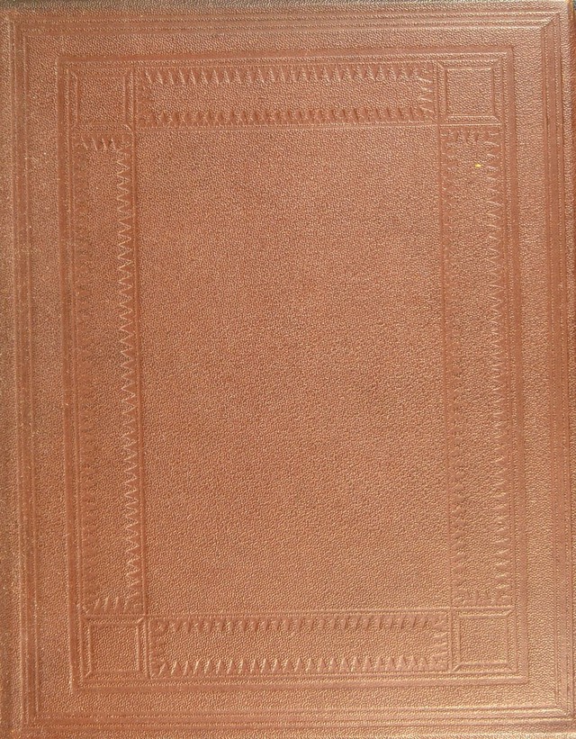 No text description is available for this image