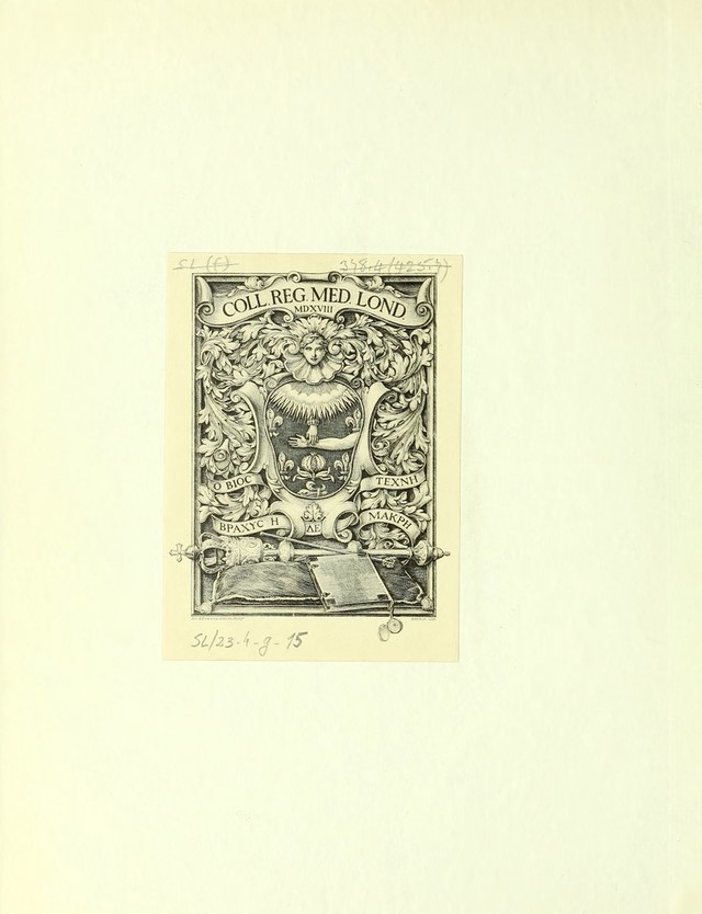 digitised image 2