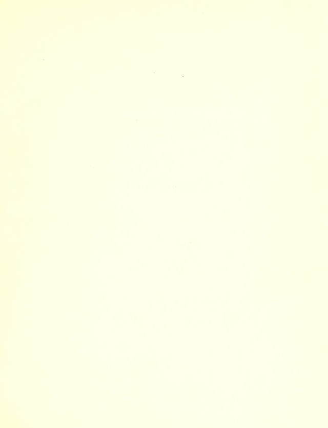 digitised image 3