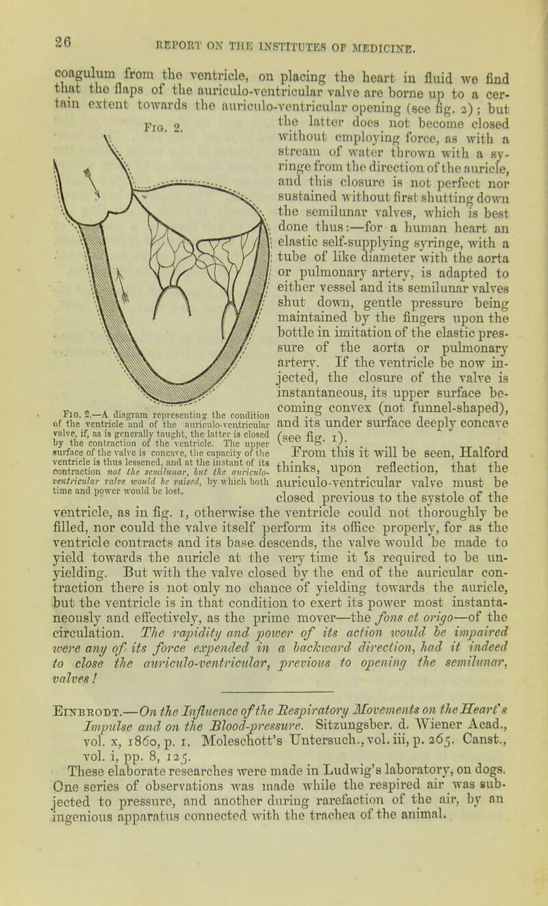 Fm. coagulum from the ventricle, on placing the heart in fluid we find that the flaps of the auriculo-ventricular valve are borne up to a cer- tain extent towards the auriculo-ventricular opening (see fig. a) ; but the latter does not become closed without employing force, as with a streain of water thrown with a sy- ringe from the direction of the auricle, and this closure is not perfect nor sustained without first shutting down the semilunar valves, which is best done thus:—for a human heart an elastic self-supplying syringe, Avith a tube of like diameter with the aorta or pulmonary artery, is adapted to eitlier vessel and its semilunar valves shut down, gentle pressure being maintained by the fingers npon the bottle in imitation of the elastic pres- sure of the aorta or pulmonary artery. If the ventricle be now in- jected, the closure of the valve is instantaneous, its upper surface be- coming convex (not funnel-shaped), and its under surface deeply concave (see fig. i). From this it will be seen, Halford thinks, upon reflection, that the auriculo-ventricular valve must be closed previous to the systole of the ventricle, as in fig. i, otherwise the ventricle could not thoroughly be filled, nor could the valve itself perform its office properly, for as the ventricle contracts and its base descends, the valve would be made to yield towards the auricle at the very time it is required to be un- yielding. But with the valve closed by the end of the auricular con- traction there is not only no chance of yielding towards the auricle, but the ventricle is in that condition to exert its power most instanta- neously and effectively, as the prime mover—the fans et origo—of the circulation. The rajndiiy and poiver of its action ivould he impaired were any of its force expended in a haclcward direction, had it indeed to close the auriculo-ventricular, previous to opening the semilnmr, valves! Flo. 2.—A (liagram representing (he condition of the ventricle ;ind of tlic nuvicnlo-vcntricular vnlve, if, as is generally taught, the latter is closed by the contraction of the ventricle. The upper Blu-face of the valve is concave, t!ie capacity of the ventricle is thus lessened, and at the instant of its contraction not the semilunar, but the nnncnto- venlricular rnlve xoouUi he raised, by which both time and power would be lost. EiTfB-RODT.—On the Influence of the Bespiratory Movements on fJieSeart's Impulse and on the Blood-pressure. Sitzungsber. d. Wiener Acad., vol. X, i860, p. I. Moleschott's Untersuch.,vol.iii, p. 265. Canst., vol. i, pp. 8, 125. These elaborate researches were made in Ludwig's laboratory, on dogs. One scries of observations was made while the respired air was sub- jected to pressure, and another diiriug rarefaction of the air, by an ingenious apparatus connected with the trachea of the animal.