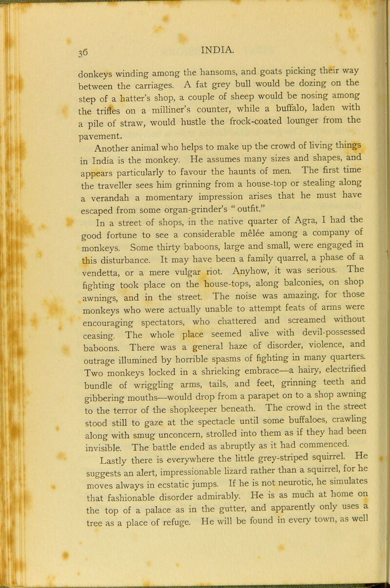 donkeys winding among the hansoms, and goats picking their way between the carriages. A fat grey bull would be dozing on the step of a hatter's shop, a couple of sheep would be nosing among the trifles on a milliner's counter, while a buffalo, laden with a pile of straw, would hustle the frock-coated lounger from the pavement. Another animal who helps to make up the crowd of living things in India is the monkey. He assumes many sizes and shapes, and appears particularly to favour the haunts of men. The first time the traveller sees him grinning from a house-top or steahng along a verandah a momentary impression arises that he must have escaped from some organ-grinder's  outfit. In a street of shops, in the native quarter of Agra, I had the good fortune to see a considerable melee among a company of monkeys. Some thirty baboons, large and small, were engaged in this disturbance. It may have been a family quarrel, a phase of a vendetta, or a mere vulgar riot. Anyhow, it was serious. The fighting took place on the house-tops, along balconies, on shop awnings, and in the street. The noise was amazing, for those monkeys who were actually unable to attempt feats of arms were encouraging spectators, who chattered and screamed without ceasing. The whole place seemed aHve with devil-possessed baboons. There was a general haze of disorder, violence, and outrage illumined by horrible spasms of fighting in many quarters. Two monkeys locked in a shrieking embrace—a hairy, electrified bundle of wriggHng arms, tails, and feet, grinning teeth and gibbering mouths—would drop from a parapet on to a shop awmng to the terror of the shopkeeper beneath. The crowd in the street stood still to gaze at the spectacle until some buffaloes, crawling along with smug unconcern, strolled into them as if they had been invisible. The battle ended as abruptly as it had commenced. Lastly there is everywhere the little grey-striped squirrel. He suggests an alert, impressionable lizard rather than a squirrel, for he moves always in ecstatic jumps. If he is not neurotic, he simulates that fashionable disorder admirably. He is as much at home on the top of a palace as in the gutter, and apparency only uses a tree as a place of refuge. He will be found in every town, as well