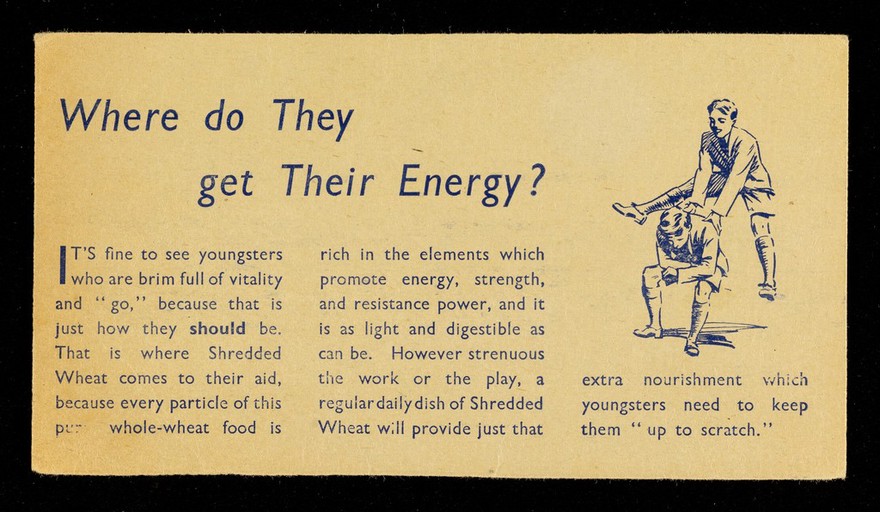 Where do they get their energy?.