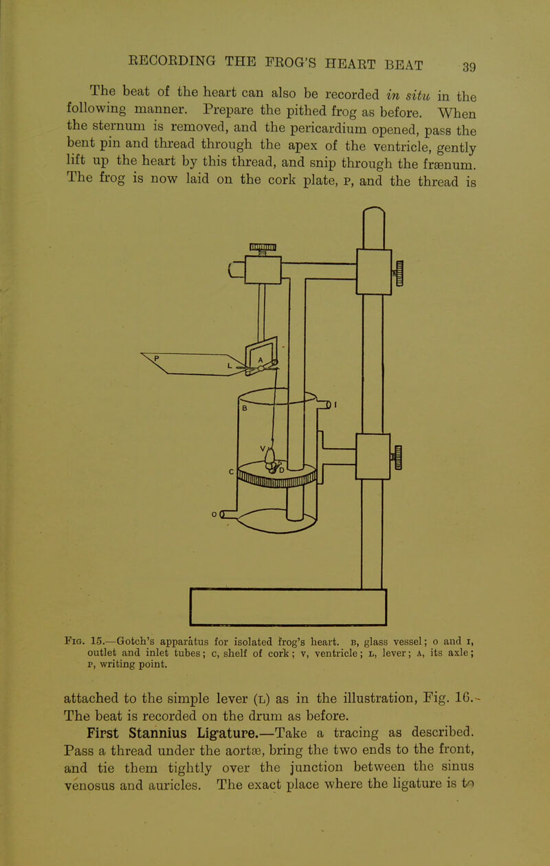 EECOEDING THE FROG'S HEART BEAT The beat of the heart can also be recorded in situ in the following manner. Prepare the pithed frog as before. When the sternum is removed, and the pericardium opened, pass the bent pin and thread through the apex of the ventricle, gently lift up the heart by this thread, and snip through the frsenum. The frog is now laid on the cork plate, p, and the thread is Fig. 15.—Gotch's apparatus for isolated frog's heart, b, glass vessel; o and i, outlet and inlet tubes; c, shelf of corlt; v, ventricle; l, lever; a, its axle; p, writing point. attached to the simple lever (l) as in the illustration, Fig. 16.- The beat is recorded on the drum as before. First Stannius Ligature.—Take a tracing as described. Pass a thread under the aortse, bring the two ends to the front, and tie them tightly over the junction between the sinus venosus and auricles. The exact place where the ligature is to
