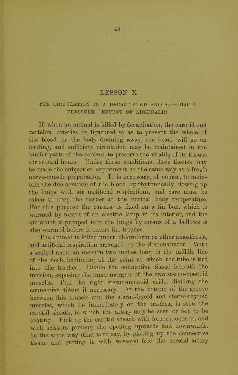 LESSON X THE CIRCULATION IN A DECAPITATED ANIMAL—BLOOD PRESSURE—EFFECT OF ADRENALIN If when an animal is killed by decapitation, the carotid and vertebral arteries be ligatured so as to prevent the whole of the blood in the body draining away, the heart will go on beating, and sufficient circulation may be maintained in the hinder parts of the carcase, to preserve the vitality of its tissues for several hours. Under these conditions, these tissues may be made the subject of experiment in the same way as a frog's nerve-muscle preparation. It is necessary, of course, to main- tain the due aeration of the blood by rhythmically blowing up the lungs with air (artificial respiration), and care must be taken to keep the tissues at the normal body temperature. For this purpose the carcase is fixed on a tin box, which is warmed by means of an electric lamp in its interior, and the air which is pumped into the lungs by means of a bellows is also warmed before it enters the trachea. The animal is killed under chloroform or ether anaesthesia, and artificial respiration arranged by the demonstrator. With a scalpel make an incision two inches long in the middle line of the neck, beginning at the point at which the tube is tied into the trachea. Divide the connective tissue beneath the incision, exposing the inner margins of the two sterno-mastoid muscles. Pull the right sterno-mastoid aside, dividing the connective tissue if necessary. At the bottom of the groove- between this muscle and the sterno-hyoid and sterno-thyroid muscles, which lie immediately on the trachea, is seen the carotid sheath, in which the artery may be seen or felt to be beating. Pick up the carotid sheath with forceps, open it, and with scissors prolong the opening upwards and downwards. In the same way (that is to say, by picking up the connective tissue and cutting it with scissors) free the carotid artery