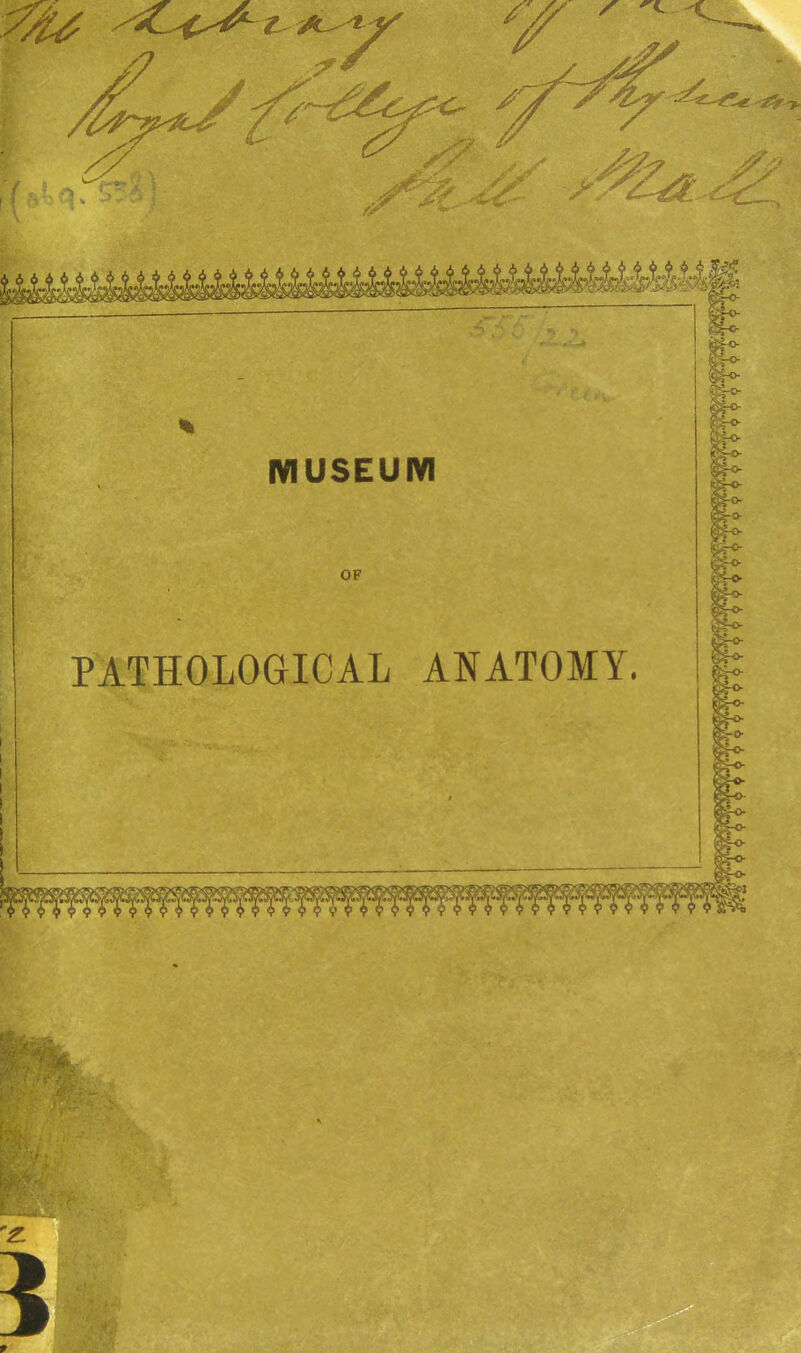 AAA S-5f MUSEUM OF PATHOLOGICAL ANATOMY. ig-o- S5r> •Kc- :..vo- If*-