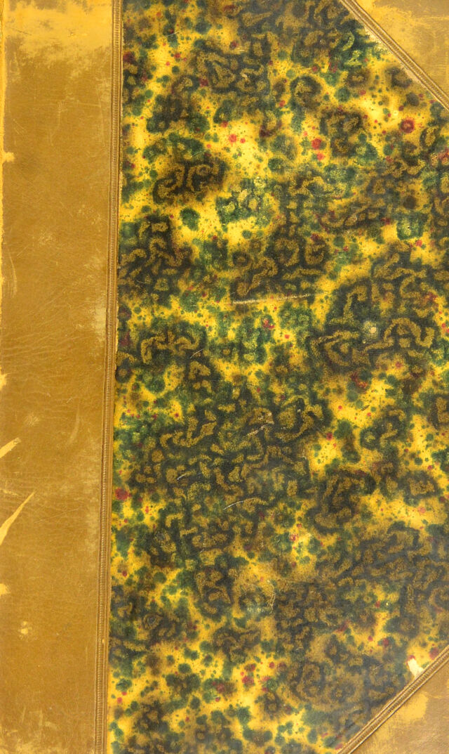 No text description is available for this image