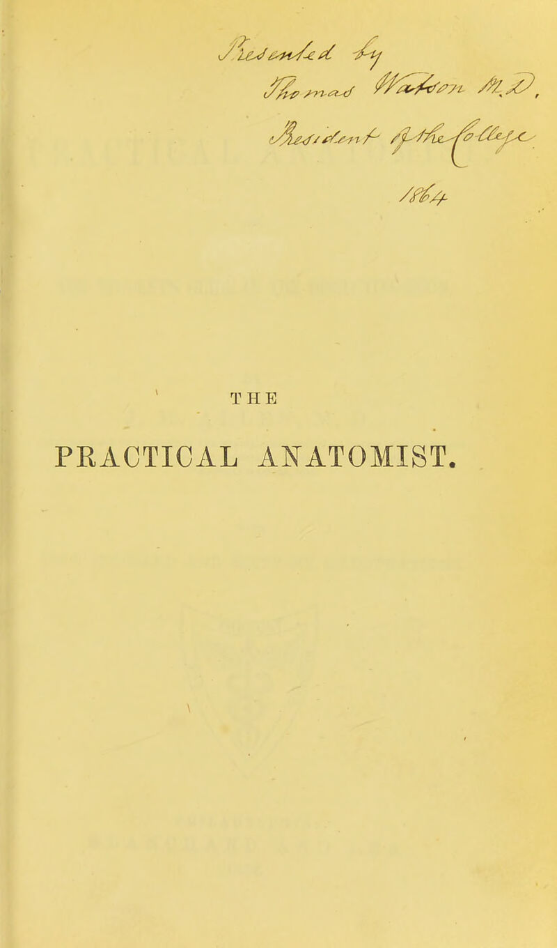 THE PRACTICAL ANATOMIST. \