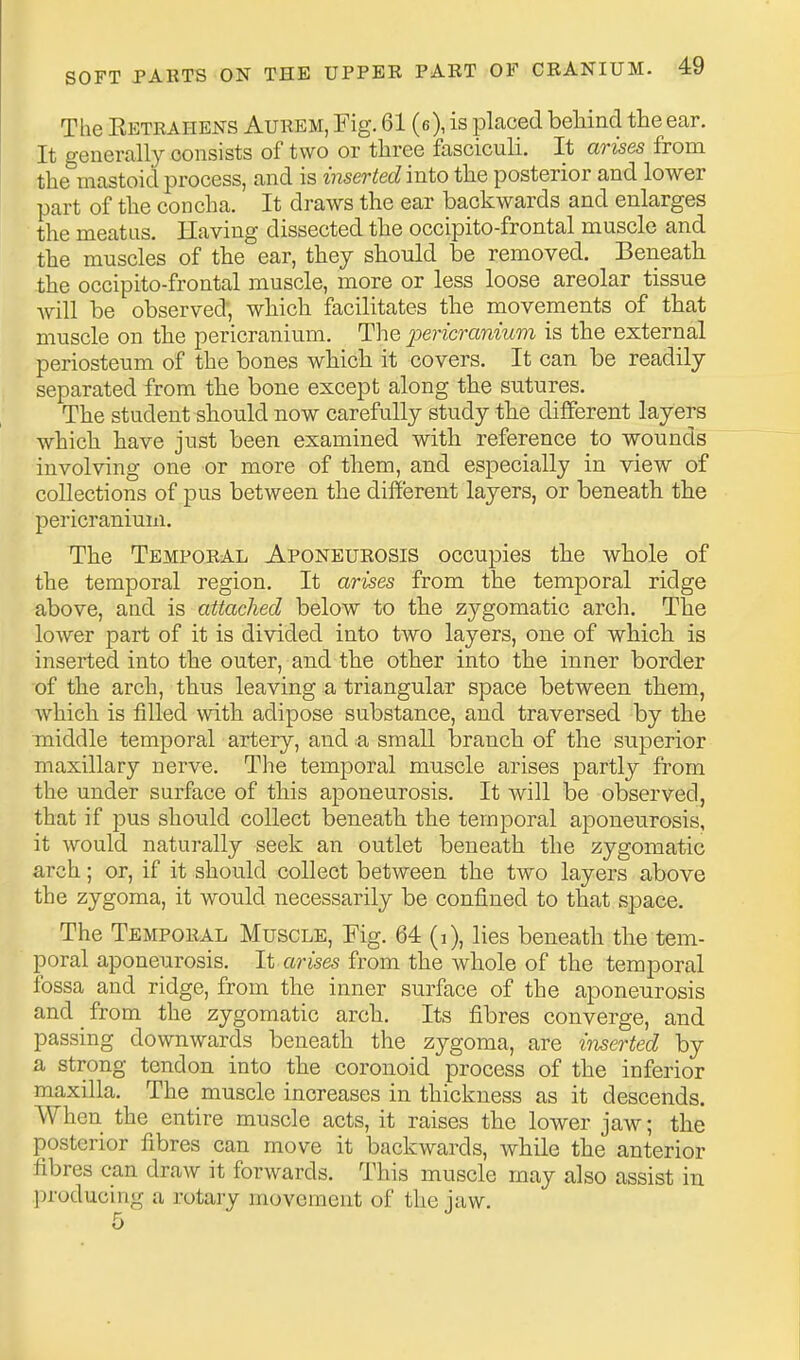 The Eetrahens Auhem, Fig. 61 (e), is placed behind the ear. It generally consists of two or three fasciculi. It arises from the mastoid process, and is inserted into the posterior and lower part of the concha. It draws the ear backwards and enlarges the meatus. Having dissected the occipito-frontal muscle and the muscles of the ear, they should be removed. Beneath the occipito-frontal muscle, more or less loose areolar tissue will be observed', which facilitates the movements of that muscle on the pericranium. The pericranium is the external periosteum of the bones which it covers. It can be readily separated from the bone except along the sutures. The student should now carefully study the different layers which have just been examined with reference to wounds involving one or more of them, and especially in view of collections of pus between the different layers, or beneath the pericranium. The Temporal Aponeurosis occupies the whole of the temporal region. It arises from the temporal ridge above, and is attached below to the zygomatic arch. The lower part of it is divided into two layers, one of which is inserted into the outer, and the other into the inner border of the arch, thus leaving a triangular space between them, which is filled with adipose substance, and traversed by the middle temporal artery, and a small branch of the superior maxillary nerve. The temporal muscle arises partly from the under surface of this aponeurosis. It will be observed, that if pus should collect beneath the temporal aponeurosis, it would naturally seek an outlet beneath the zygomatic arch; or, if it should collect between the two layers above the zygoma, it would necessarily be confined to that space. The Temporal Muscle, Fig. 64 (i), lies beneath the tem- poral aponeurosis. It arises from the whole of the temporal fossa and ridge, from the inner surface of the aponeurosis and from the zygomatic arch. Its fibres converge, and passing downwards beneath the zygoma, are inserted by a strong tendon into the coronoid process of the inferior maxilla. The muscle increases in thickness as it descends. When the entire muscle acts, it raises the lower jaw; the posterior fibres can move it backwards, while the anterior fibres can draw it forwards. This muscle may also assist in l^roducing a rotary movement of the iaw.