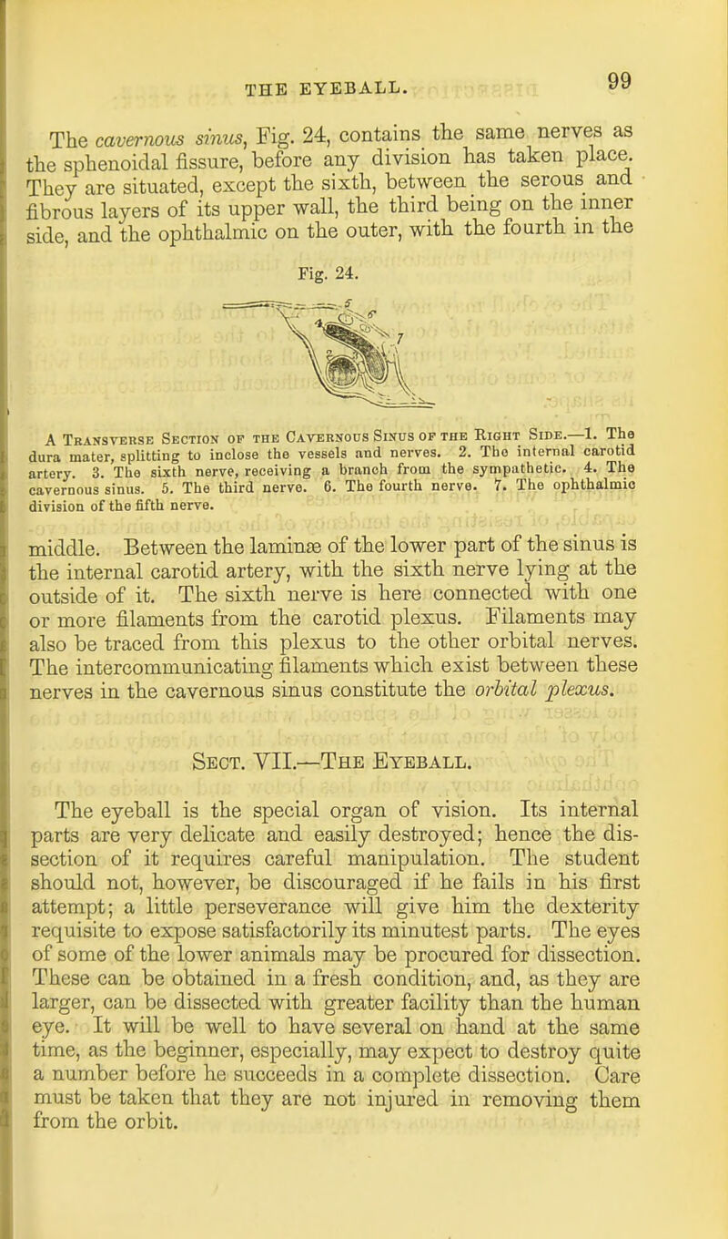 The cavernous sinus, Fig. 24, contains the same nerves as the sphenoidal fissure, before any division has taken place. They are situated, except the sixth, between the serous and fibrous layers of its upper wall, the third being on the inner side and the ophthalmic on the outer, with the fourth m the Fig. 24. A Tbansyerse Section op the Cavernous Sinus op the Right Side.—1. The dura mater, splitting to inclose the vessels and nerves. 2. The internal carotid artery. 3. The sixth nerve, receiving a branch from the sympathetic. 4. The cavernous sinus. 5. The third nerve. 6. The fourth nerv^.^ 7^ The ophthalmic division of the fifth nerve. middle. Between the lamin£e of the lower part of the sinus is the internal carotid artery, with the sixth nerve lying at the outside of it. The sixth nerve is here connected with one or more filaments from the carotid plexus. Filaments may also be traced from this plexus to the other orbital nerves. The intercommunicating filaments which exist between these nerves in the cavernous sinus constitute the orbital plexus. Sect. YII.—The Eyeball. The eyeball is the special organ of vision. Its internal parts are very delicate and easily destroyed; hence the dis- section of it requires careful manipulation. The student should not, however, be discouraged if he fails in his first attempt; a little perseverance will give him the dexterity requisite to expose satisfactorily its minutest parts. The eyes of some of the lower animals may be procured for dissection. These can be obtained in a fresh condition, and, as they are larger, can be dissected with greater facility than the human eye. • It will be well to have several on hand at the same time, as the beginner, especially, may expect to destroy quite a number before he succeeds in a complete dissection. Care must be taken that they are not injured in removing them from the orbit.