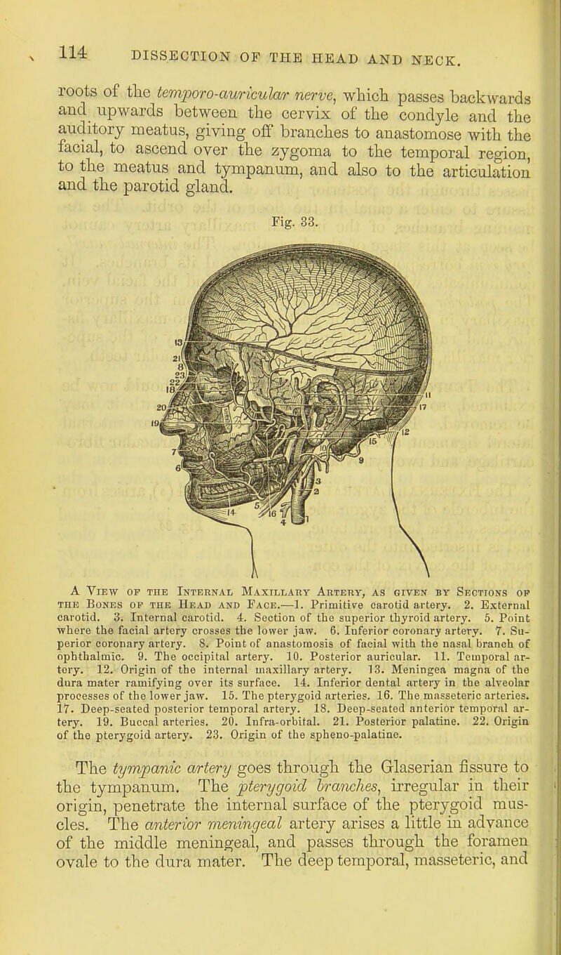 roots of the temporo-auricular nerve, whicli passes backwards and_ upwards between the cervix of the condyle and the auditory meatus, giving off branches to anastomose with the facial, to ascend over the zygoma to the temporal region, to the meatus and tympanum, and also to the articalation and the parotid gland. Fig. 33. A View op the Internai, Maxillary Autery, as given by Sections op THE Bones op the Head and Pace.—1. Primitive carotid artery. 2. External carotid. 3. Internal carotid. 4. Section of the superior thyroid artery. 5. Point where the facial artery crosses the lower jaw. 6. Inferior coronary artery. 7. Su- perior coronary artery. 8. Point of anastomosis of facial with the nasal branch of ophthalmic. 9. The occipital artery. 10. Posterior auricular. 11. Temporal ar- tery. 12. Origin of the internal maxillary artery. 13. Meningea magna of the dura mater ramifying over its surface. 14. Inferior dental artery in the alveolar processes of the lower jaw. 15. The pterygoid arteries. 16. The masseteric arteries. 17. Deep-seated posterior temporal artery. 18. Deep-seated anterior temporal ar- tery. 19. Buccal arteries. 20. Infra-orbital. 21. Posterior palatine. 22. Origin of the pterygoid artery. 23. Origin of the spheno-palatine. The tympanic artery goes through the Glaserian fissure to the tympanum. The pterygoid branches, irregular in their origin, penetrate the internal surface of the pterygoid mus- cles. The anterior meningeal artery arises a little in advance of the middle meningeal, and passes through the foramen ovale to the dura mater. The deep temporal, masseteric, and